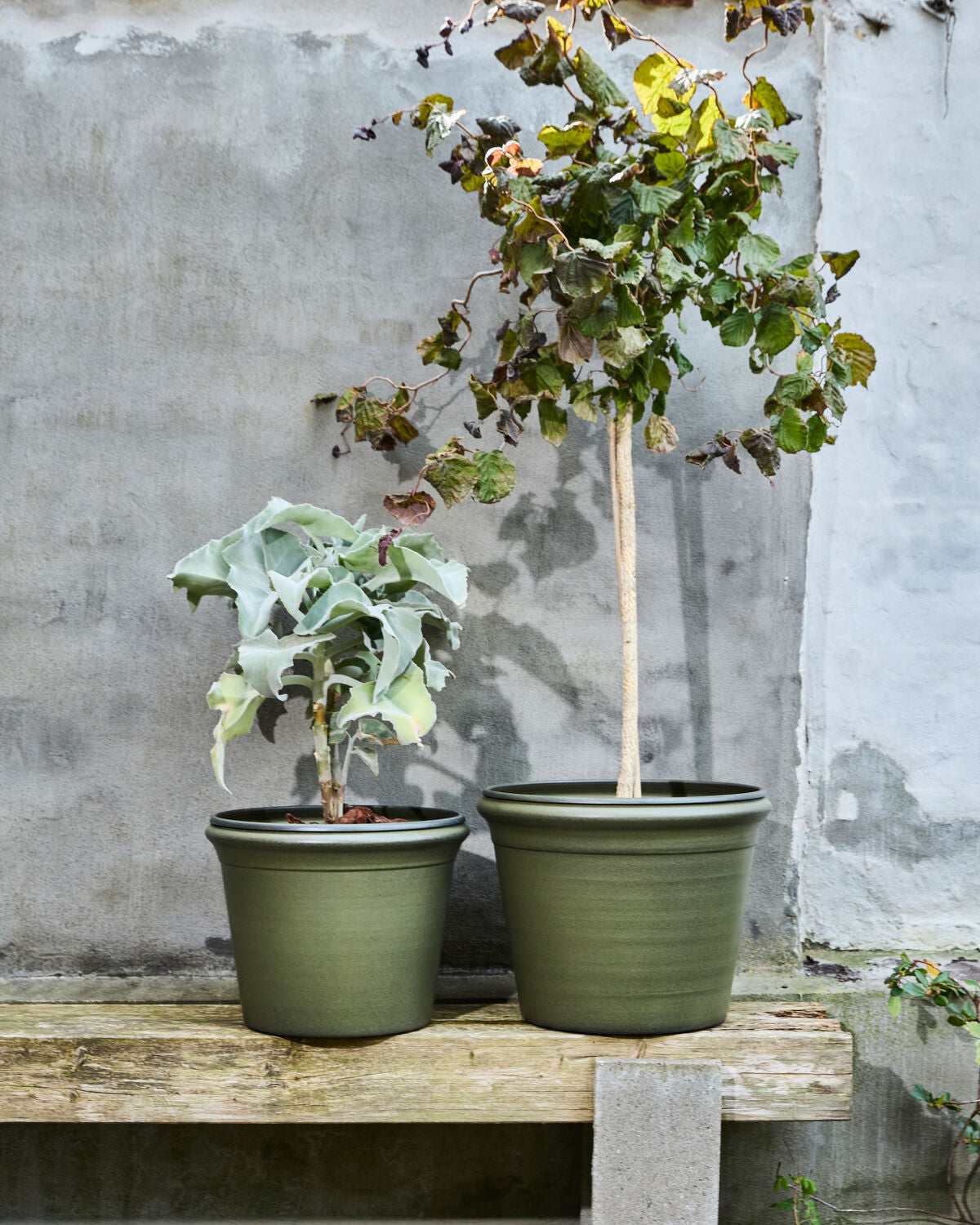 Eleganter grüner Blumentopf HDIvy von House Doctor, ideal für den Außenbereich, verleiht jedem Garten einen frischen Akzent.