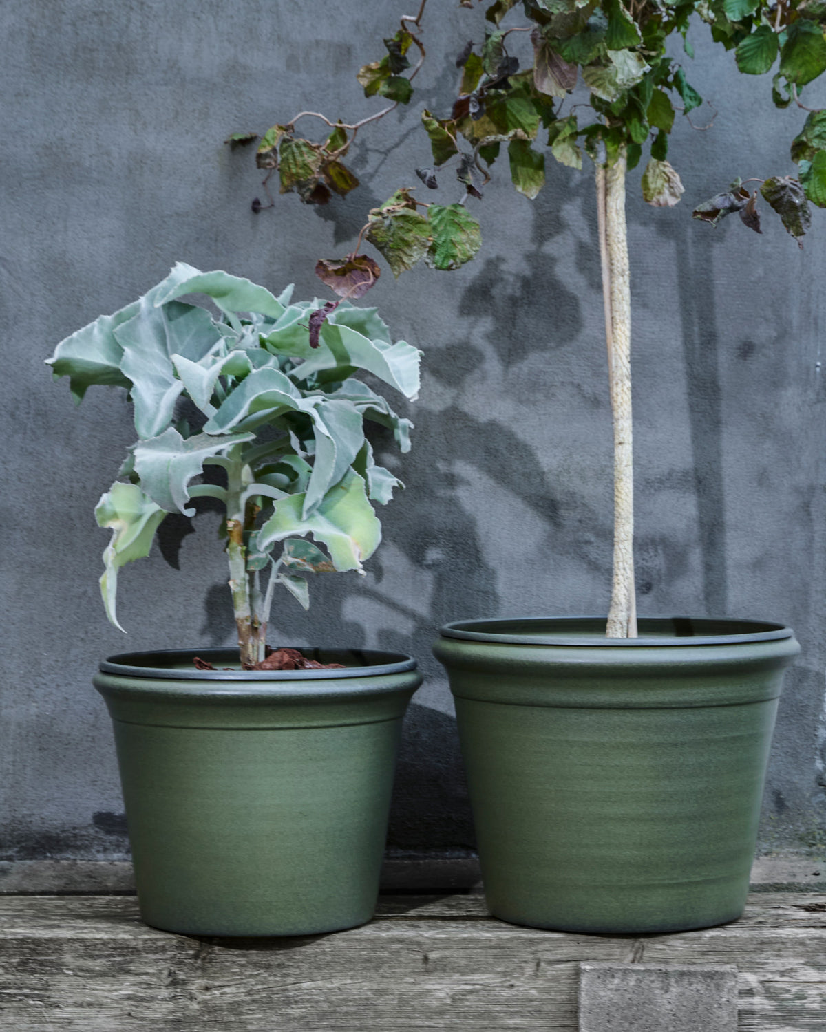 Blumentopf, HDIvy, Grün in Green präsentiert im Onlineshop von KAQTU Design AG. Pflanzentopf Outdoor ist von House Doctor