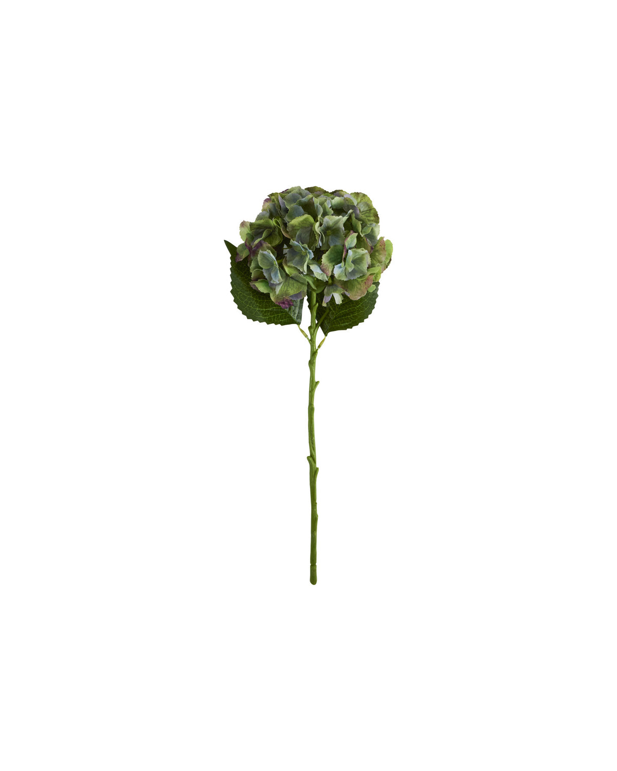 Artificial flower, HDHydrangea, Grün, Blau in Green präsentiert im Onlineshop von KAQTU Design AG. Kunstblume ist von House Doctor