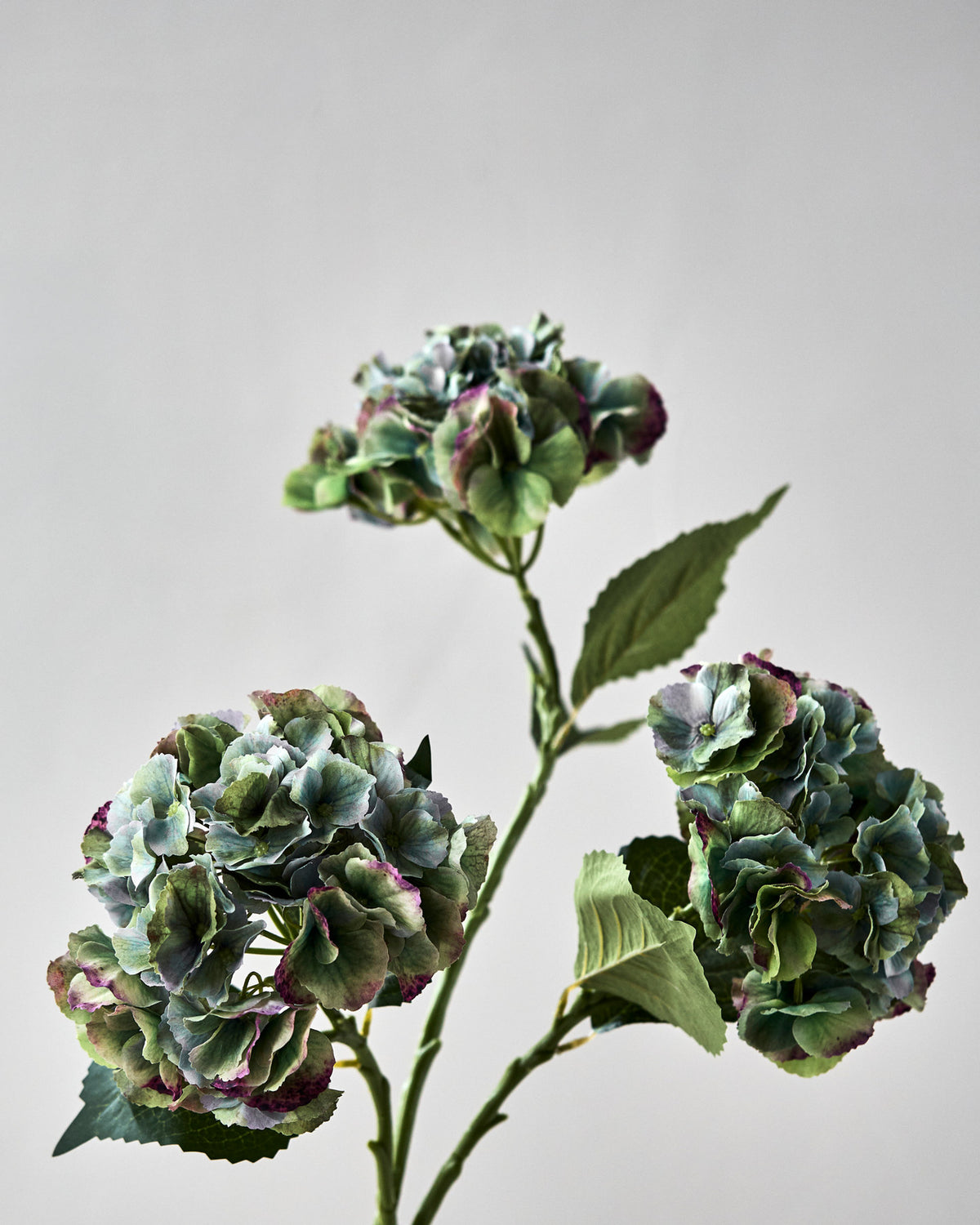 Artificial flower, HDHydrangea, Grün, Blau in Green präsentiert im Onlineshop von KAQTU Design AG. Kunstblume ist von House Doctor