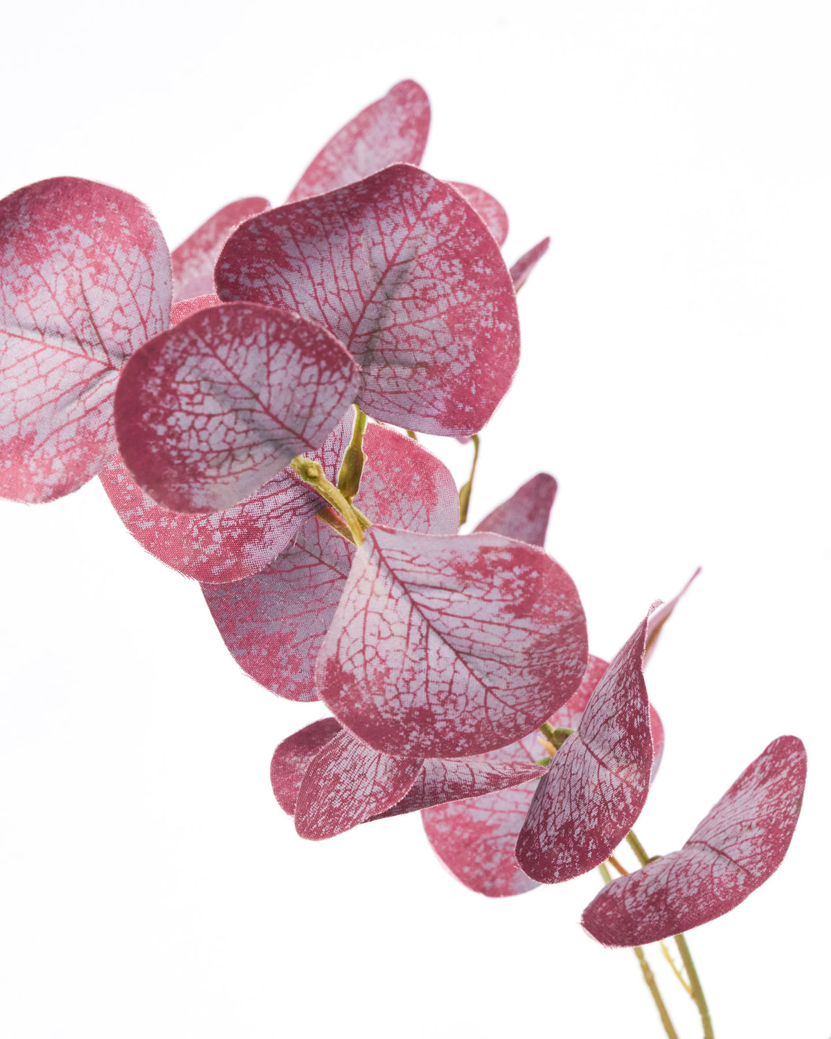 Artificial branch, HDEucalyptus, Bordeaux in Burgundy präsentiert im Onlineshop von KAQTU Design AG. Kunstblume ist von House Doctor