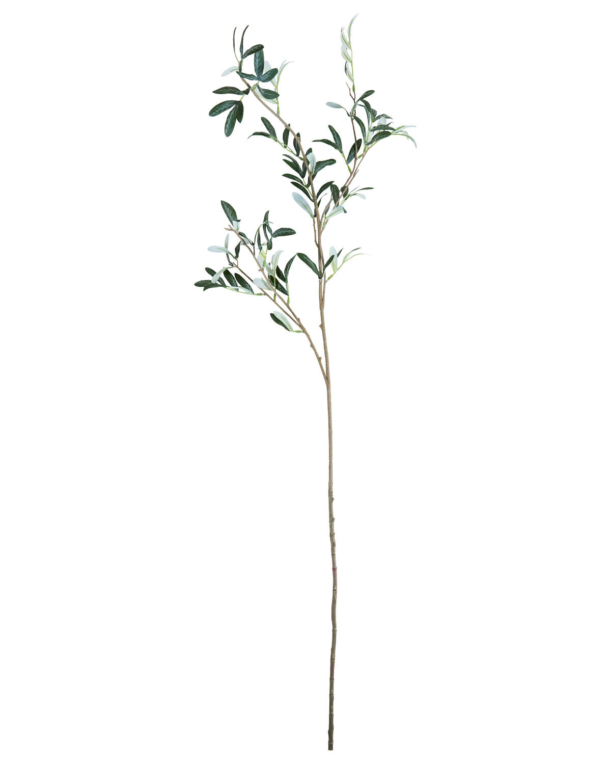 Artificial branch, HDOlive, Grün in Green präsentiert im Onlineshop von KAQTU Design AG. Kunstpflanze ist von House Doctor