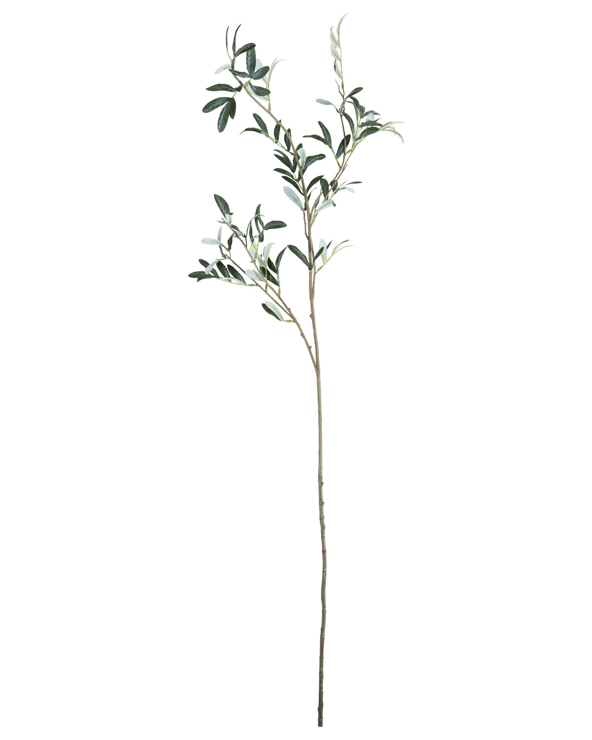 Artificial branch, HDOlive, Grün in Green präsentiert im Onlineshop von KAQTU Design AG. Kunstblume ist von House Doctor