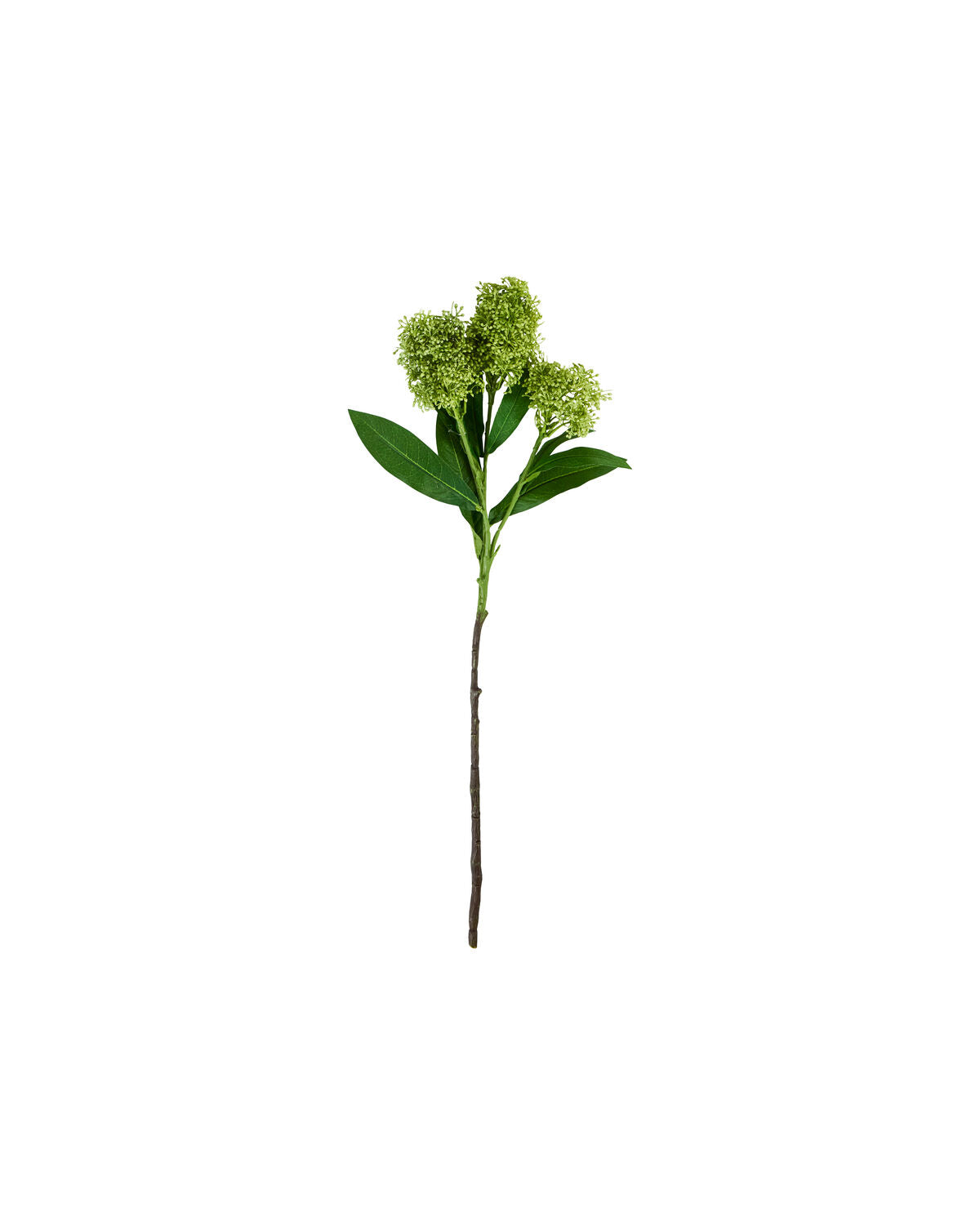 Artificial flower, HDSkimmia, Grün in Green präsentiert im Onlineshop von KAQTU Design AG. Kunstpflanze ist von House Doctor