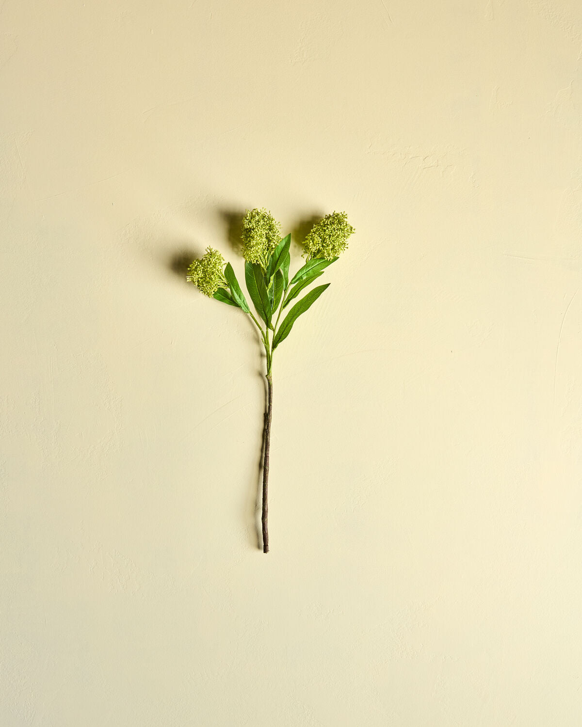 Kunstpflanze HDSkimmia in lebendigem Grün, ideal für die Dekoration von Wohnräumen, erhältlich bei KAQTU Design AG.