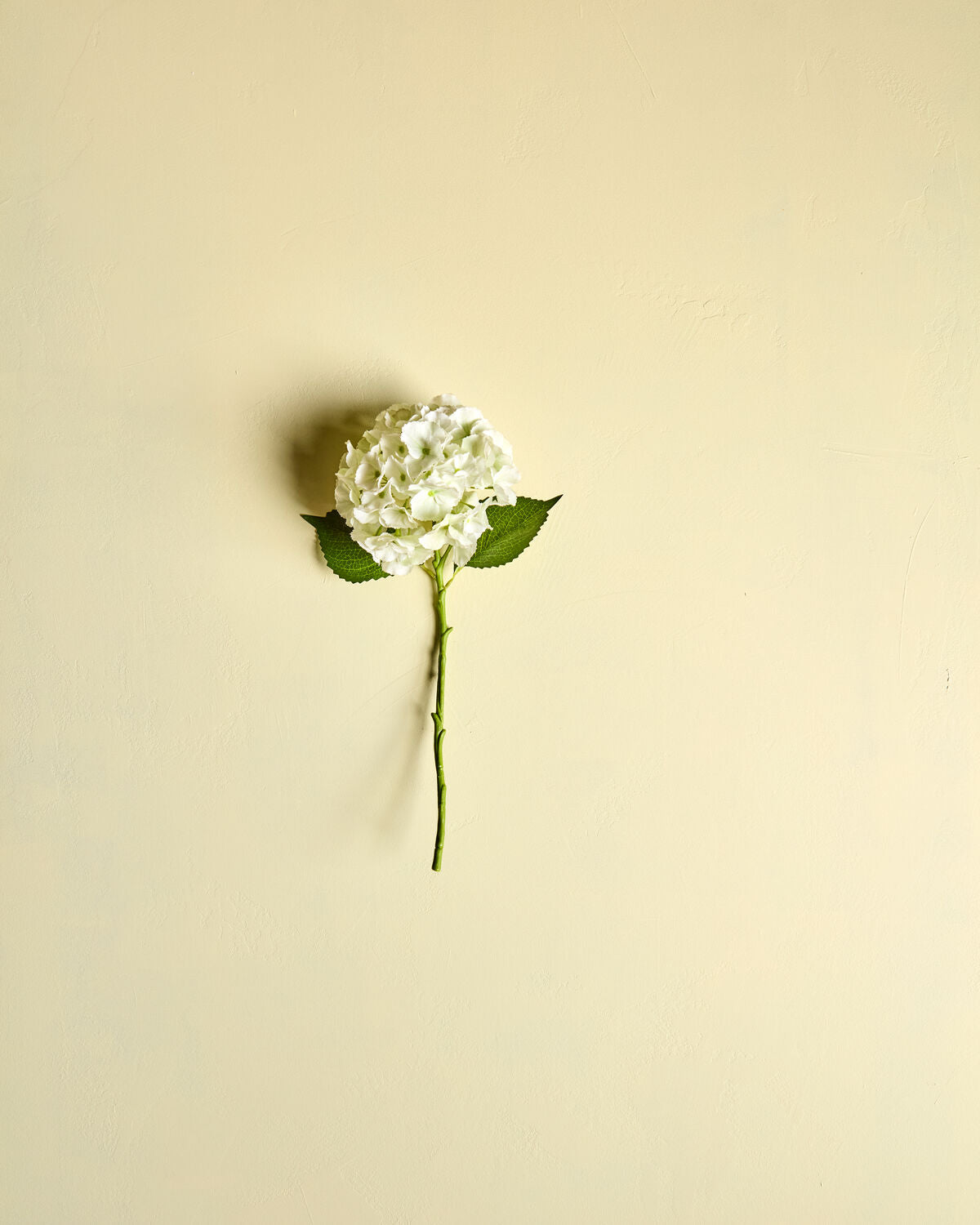 Elegante weiße Kunst-Hortensie von House Doctor, ideal für stilvolle Dekoration und pflegeleichte Akzente in jedem Raum.