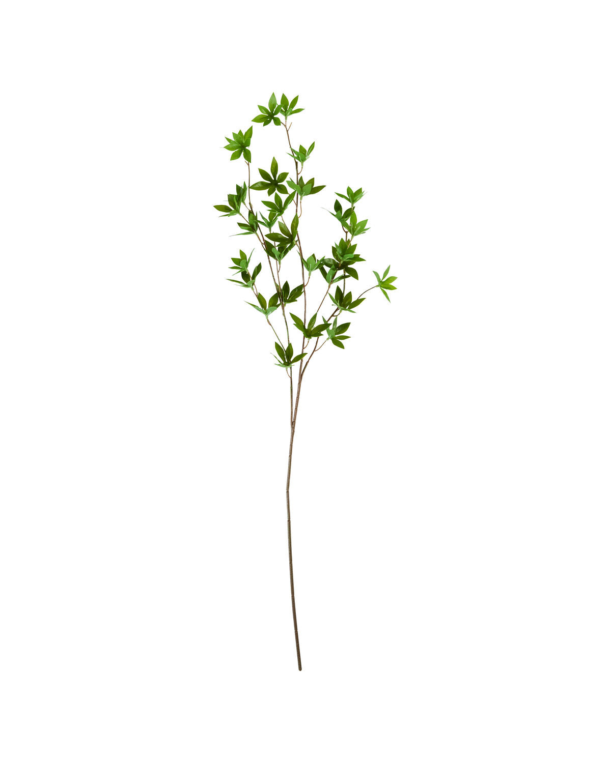 Artificial branch, HDJaponica, Grün in Green präsentiert im Onlineshop von KAQTU Design AG. Kunstpflanze ist von House Doctor