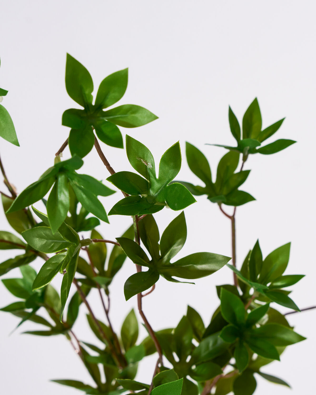 Elegante HDJaponica Kunstpflanze in frischem Grün, perfekt für moderne Wohnräume und kreative Gestaltungsideen.