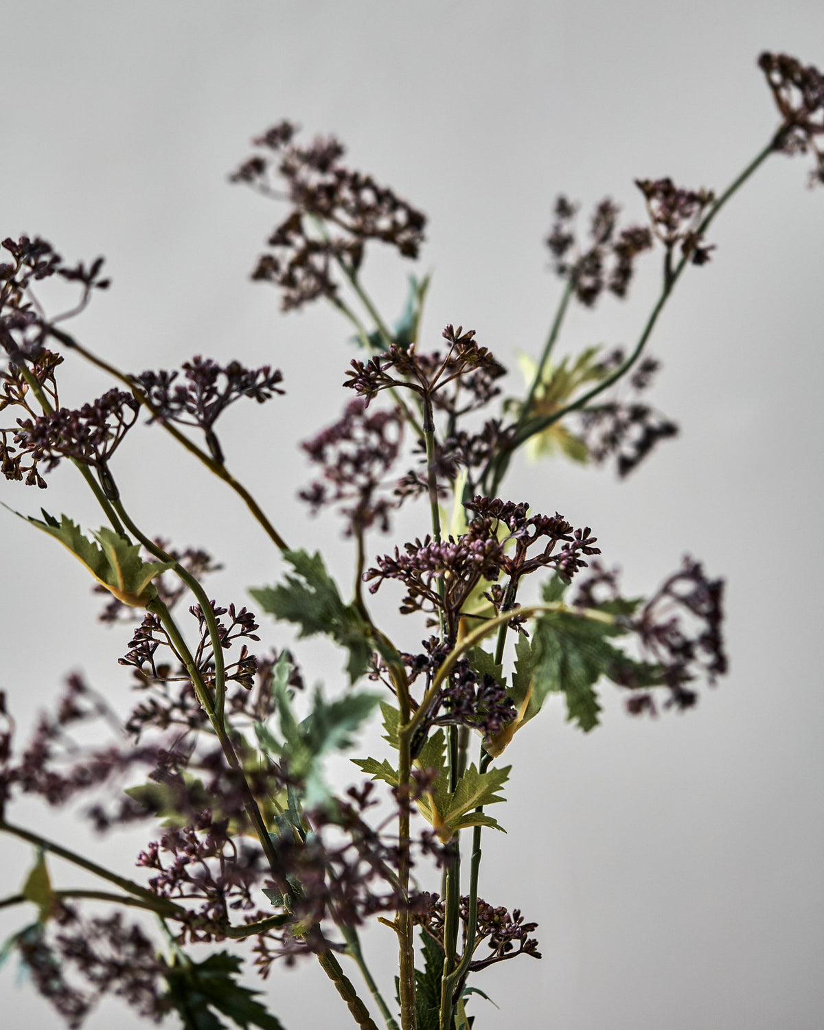Artificial branch, HDMeadow, Bordeaux in Burgundy präsentiert im Onlineshop von KAQTU Design AG. Kunstblume ist von House Doctor