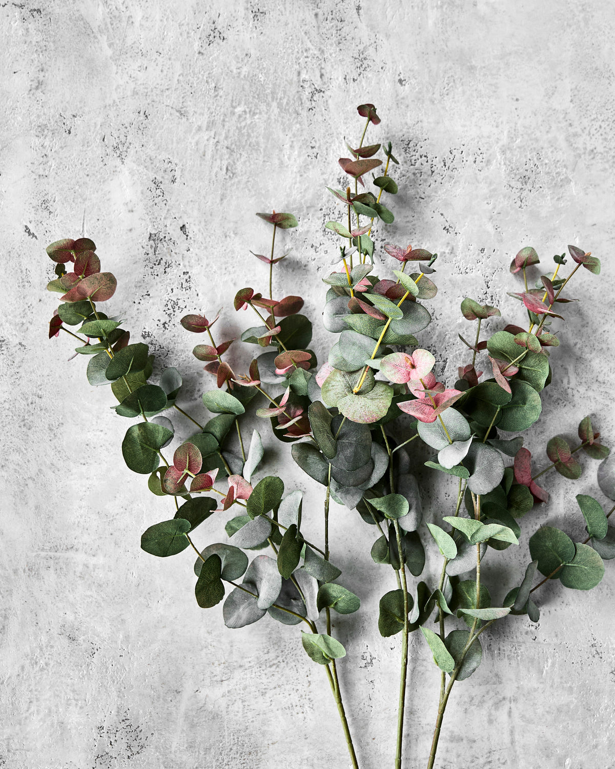 Artificial branch, HDEucalyptus, Grün in Green präsentiert im Onlineshop von KAQTU Design AG. Kunstblume ist von House Doctor
