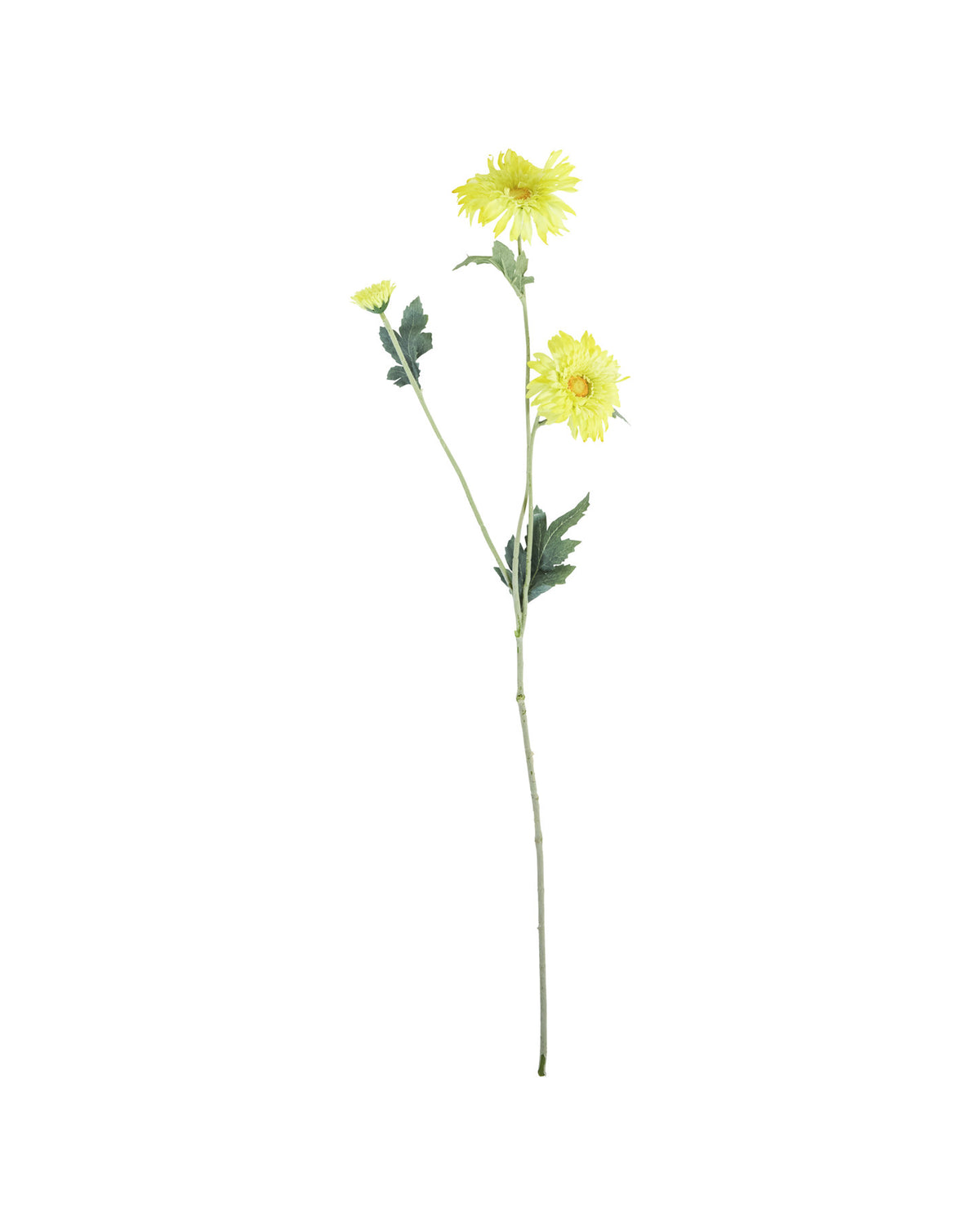 Artificial flower, HDGerbera, Gelb in Yellow präsentiert im Onlineshop von KAQTU Design AG. Kunstblume ist von House Doctor