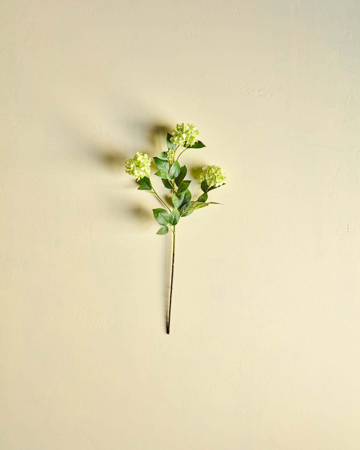 Kunstpflanze HD Viburnum in lebendigem Grün, ideal für die Dekoration von Wohnräumen, erhältlich bei KAQTU Design AG.