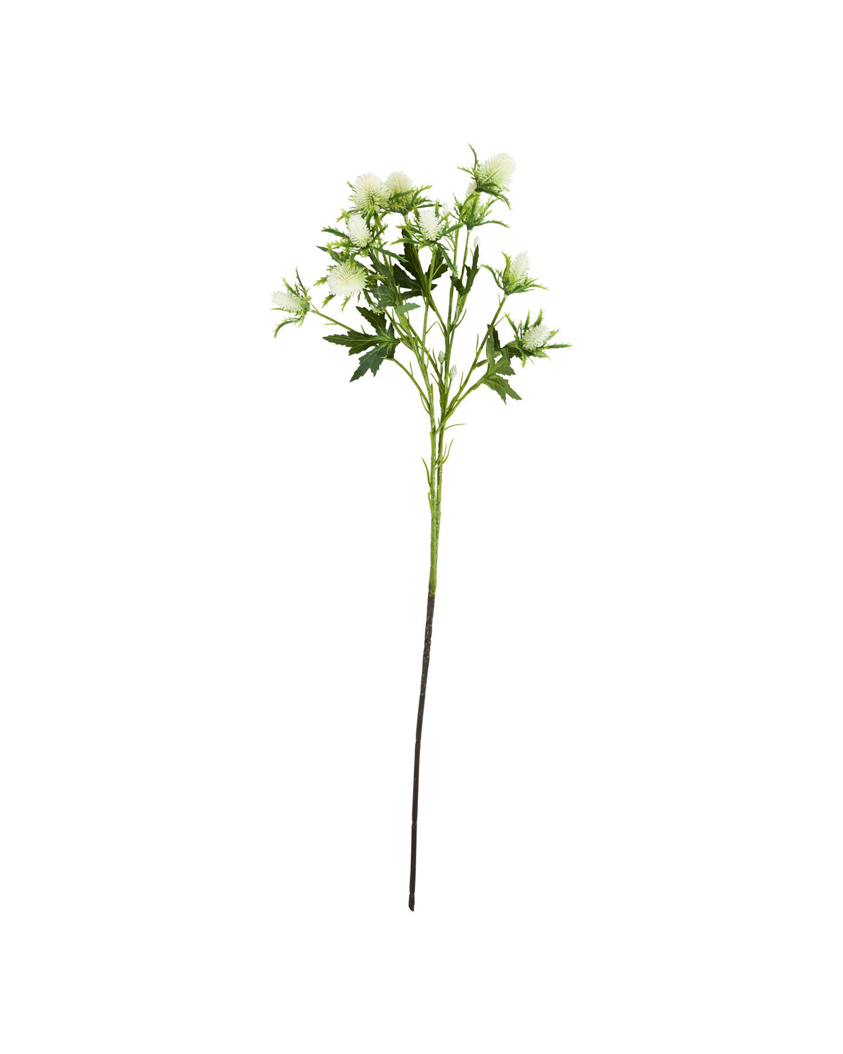 Weisse Kunstblume HDEryngium mit stacheligen Blütenköpfen am Stiel aus Polyethylen und Polyester
