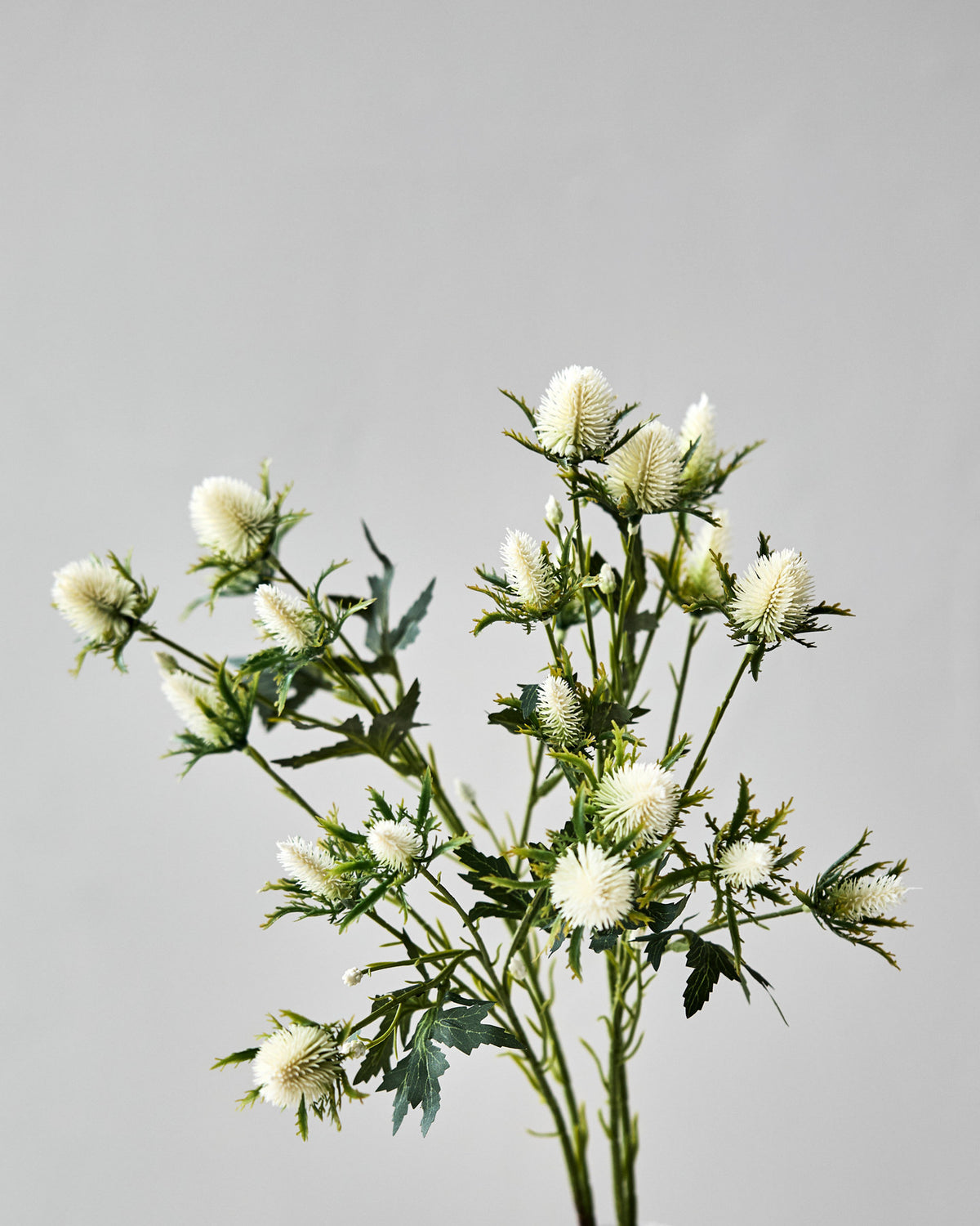 Artificial flower, HDEryngium, Weiß in White präsentiert im Onlineshop von KAQTU Design AG. Kunstblume ist von House Doctor
