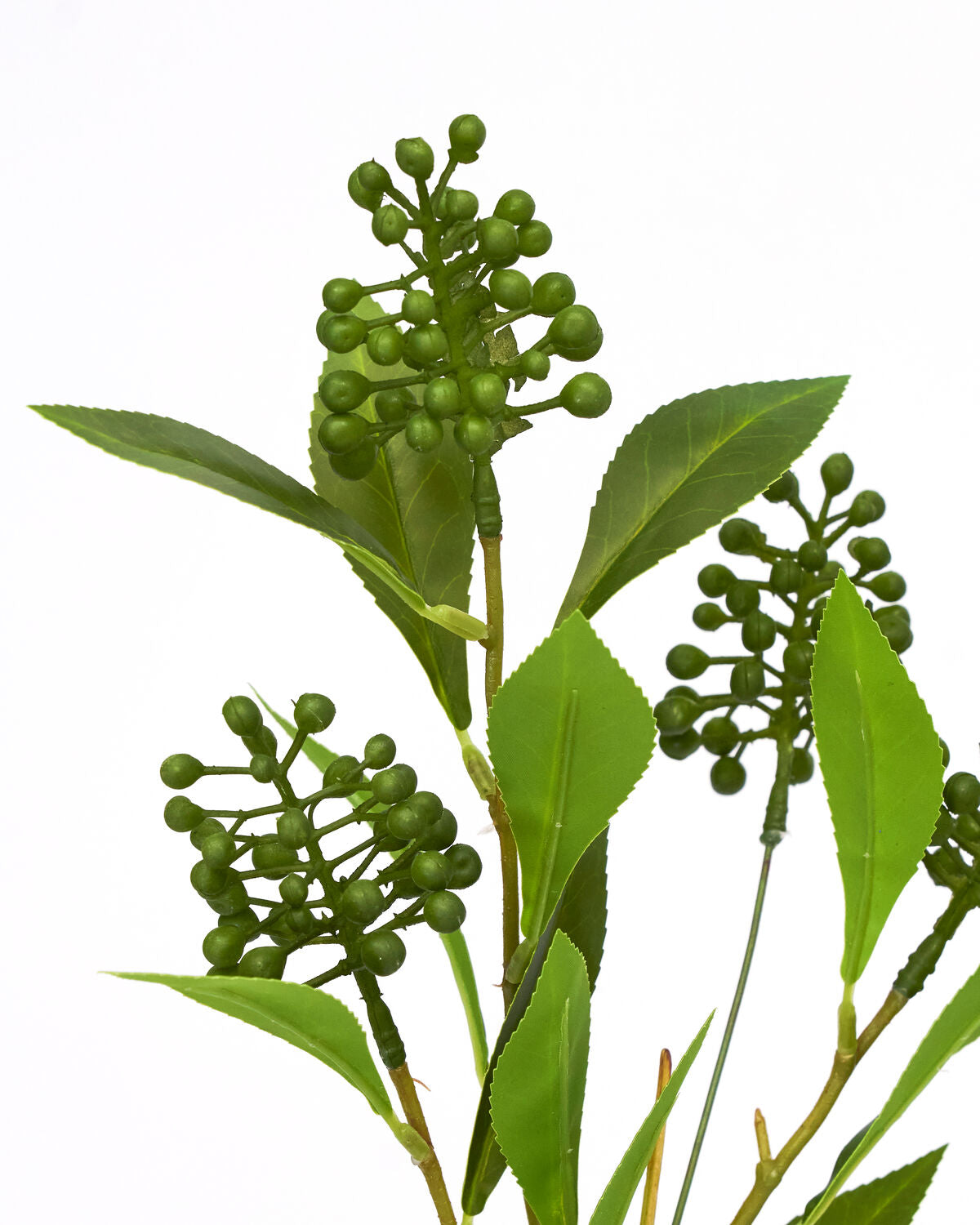 Lebensnahe HDLigustrum-Zweige in frischem Grün von House Doctor, perfekt für kreative Arrangements und moderne Wohnakzente.
