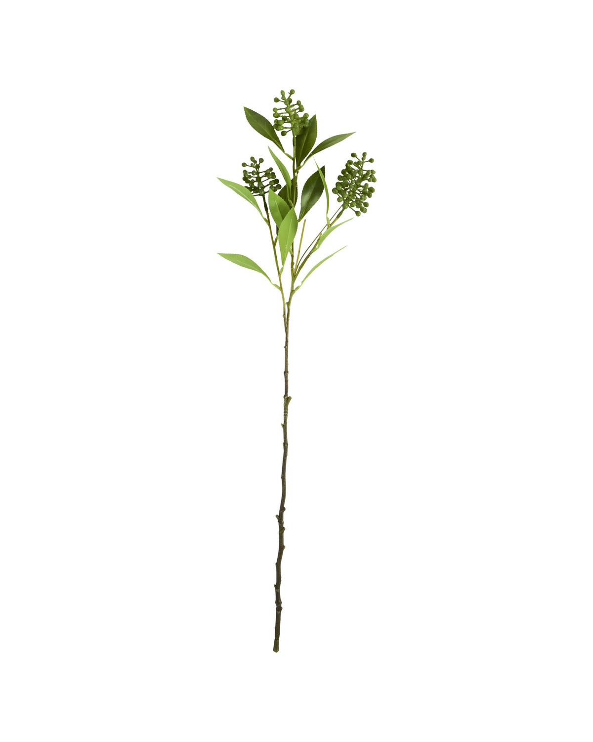 Kunstblume Artificial branch HDLigustrum in Grün, langer Zweig aus Polyethylen und Polyester
