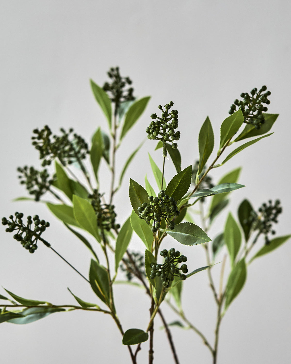 Artificial branch, HDLigustrum, Grün in Green präsentiert im Onlineshop von KAQTU Design AG. Kunstblume ist von House Doctor