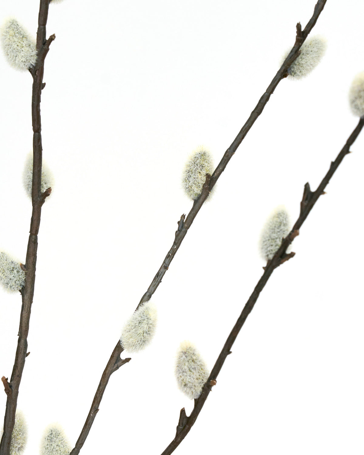 Artificial branch, HDSalix, Grün in Green präsentiert im Onlineshop von KAQTU Design AG. Kunstblume ist von House Doctor