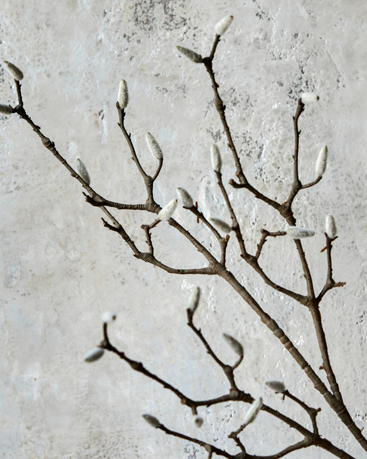 Weisser Kunstzweig HDMagnolia von House Doctor mit schlanken Stielen und weissen Blättern