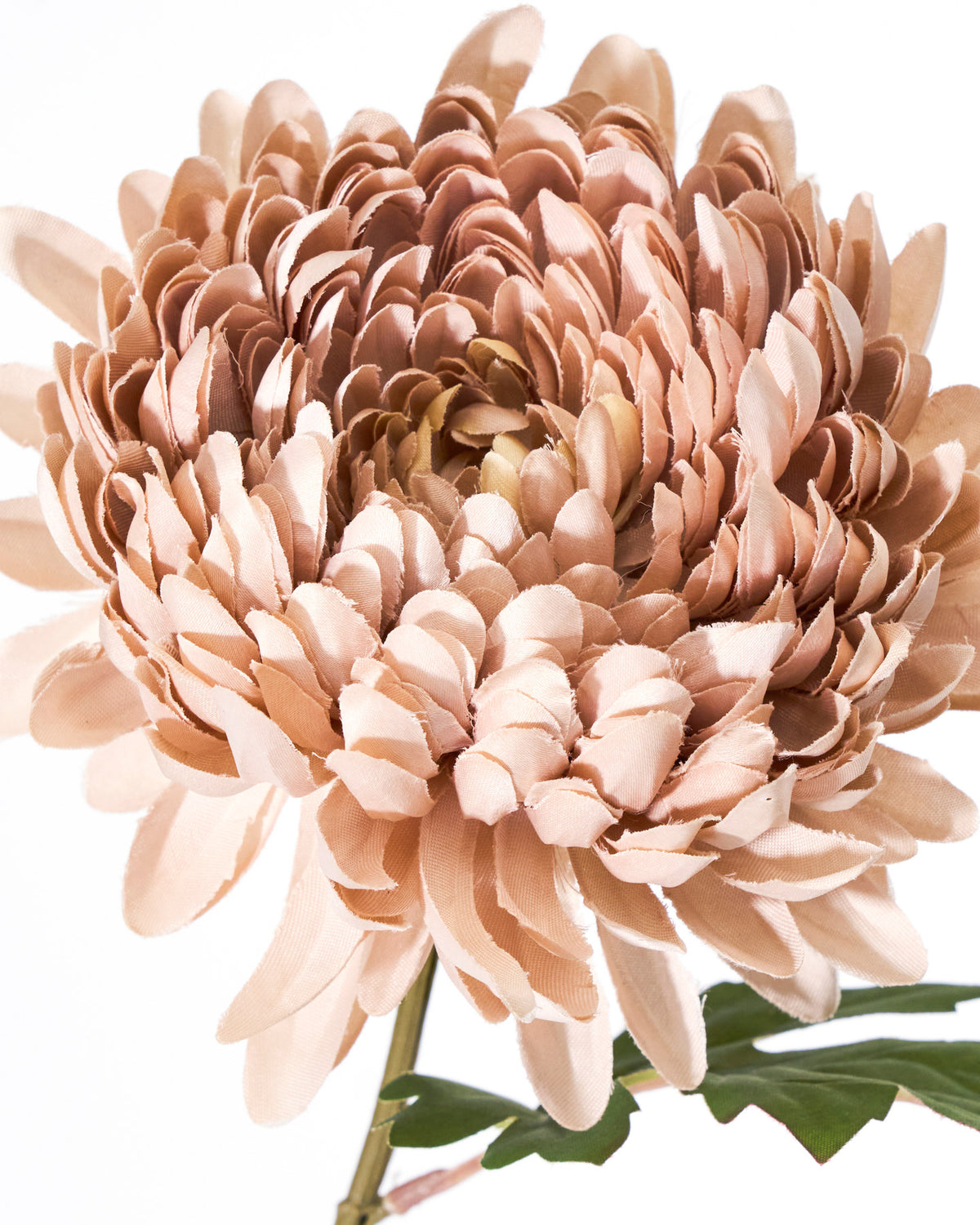 Artificial flower, HDChrysanthemum, Staubige Rose in Dusty Rose präsentiert im Onlineshop von KAQTU Design AG. Kunstblume ist von House Doctor
