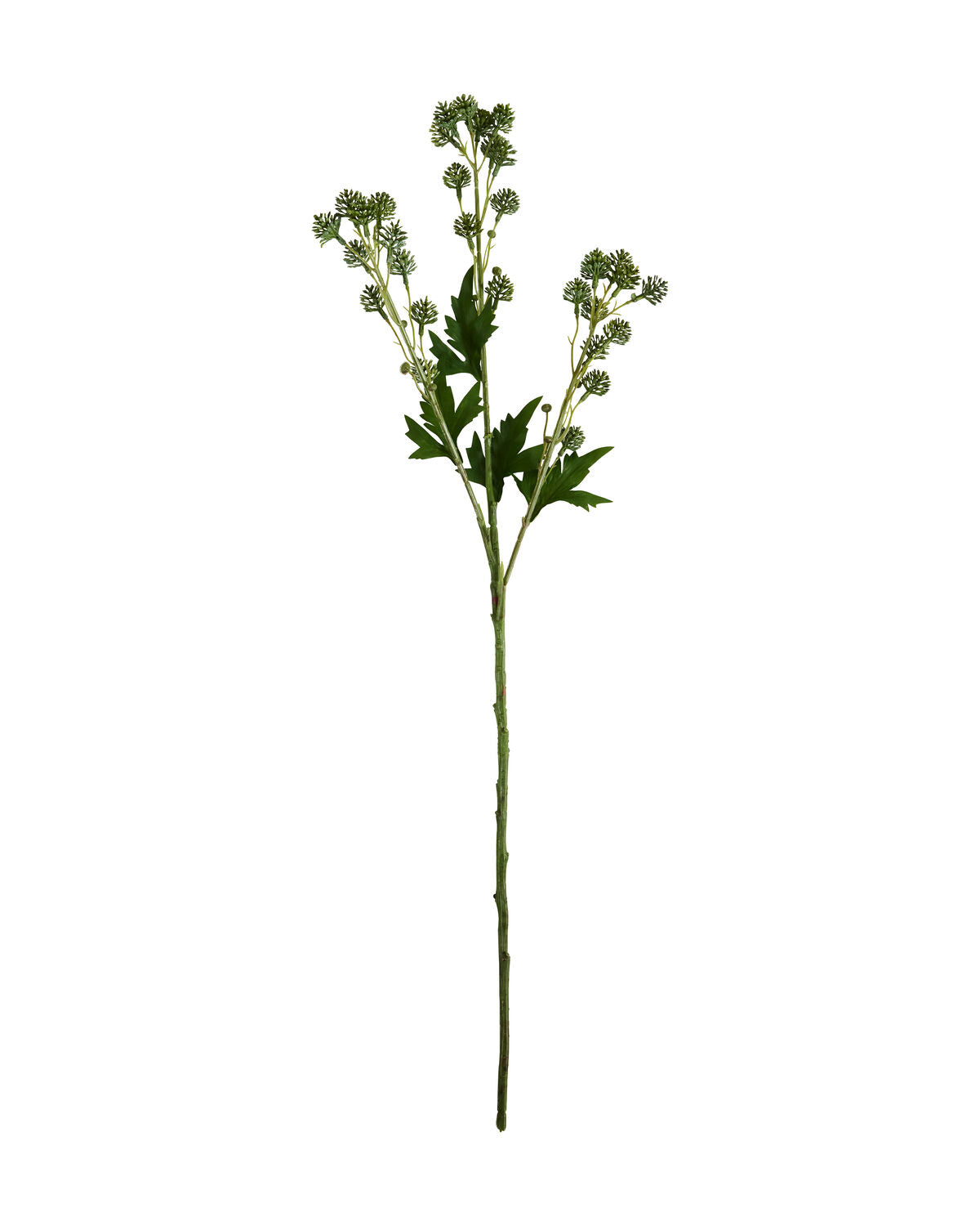 Artificial branch, HDSedum, Grün in Green präsentiert im Onlineshop von KAQTU Design AG. Kunstpflanze ist von House Doctor