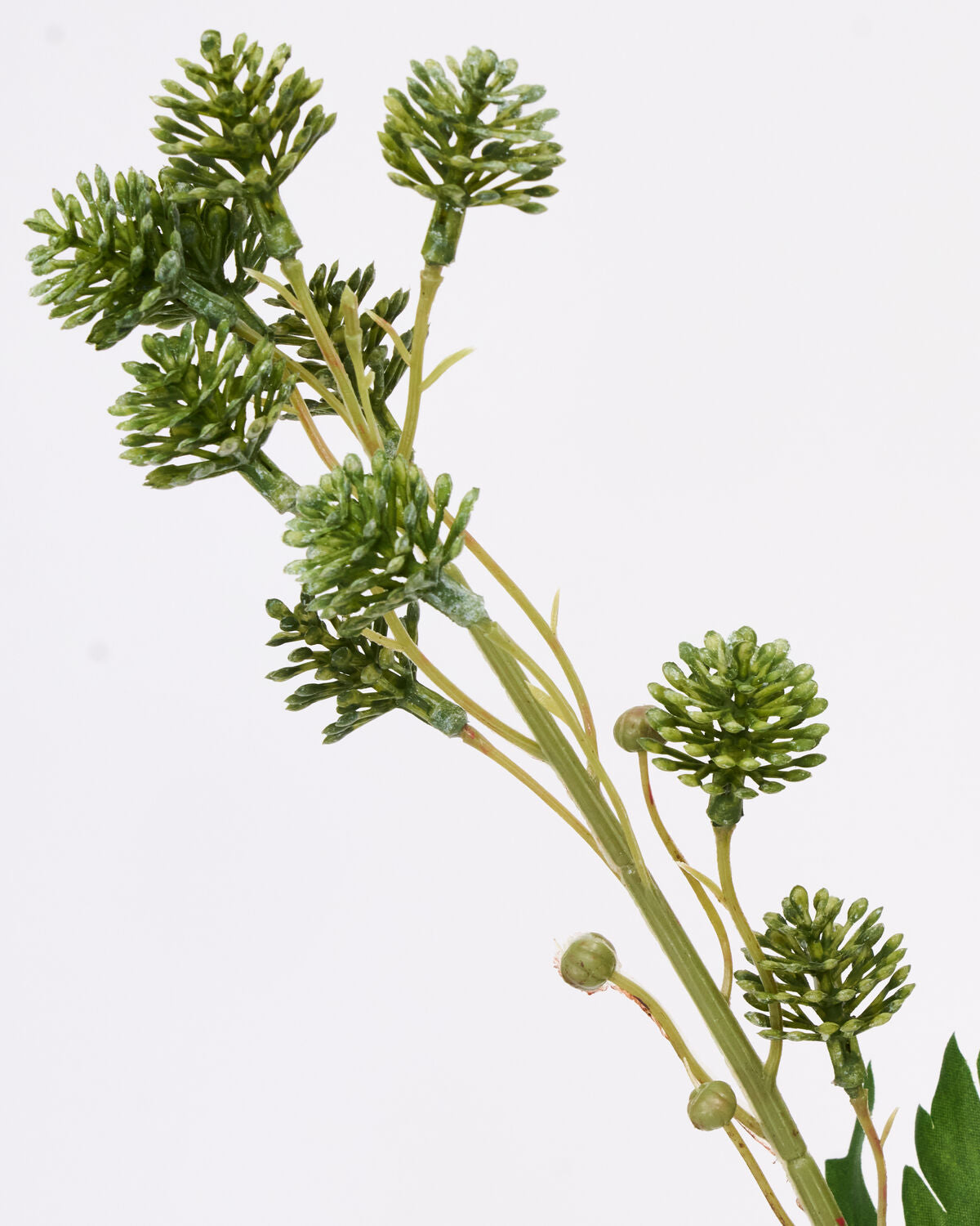 Artificial branch, HDSedum, Grün in Green präsentiert im Onlineshop von KAQTU Design AG. Kunstpflanze ist von House Doctor