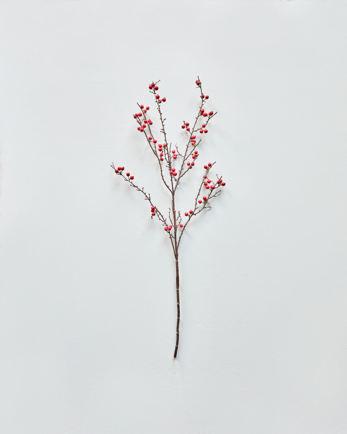 Artificial branch, HDDecor, Rot in Red präsentiert im Onlineshop von KAQTU Design AG. Kunstpflanze ist von House Doctor