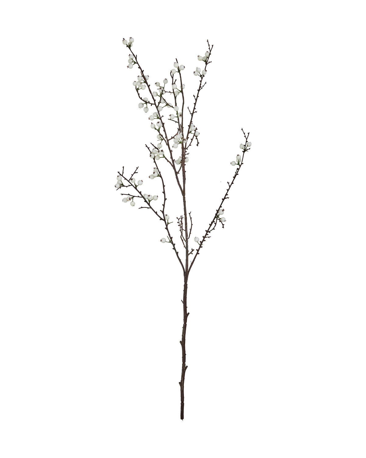 Artificial branch, HDDecor, Weiß in White präsentiert im Onlineshop von KAQTU Design AG. Kunstpflanze ist von House Doctor