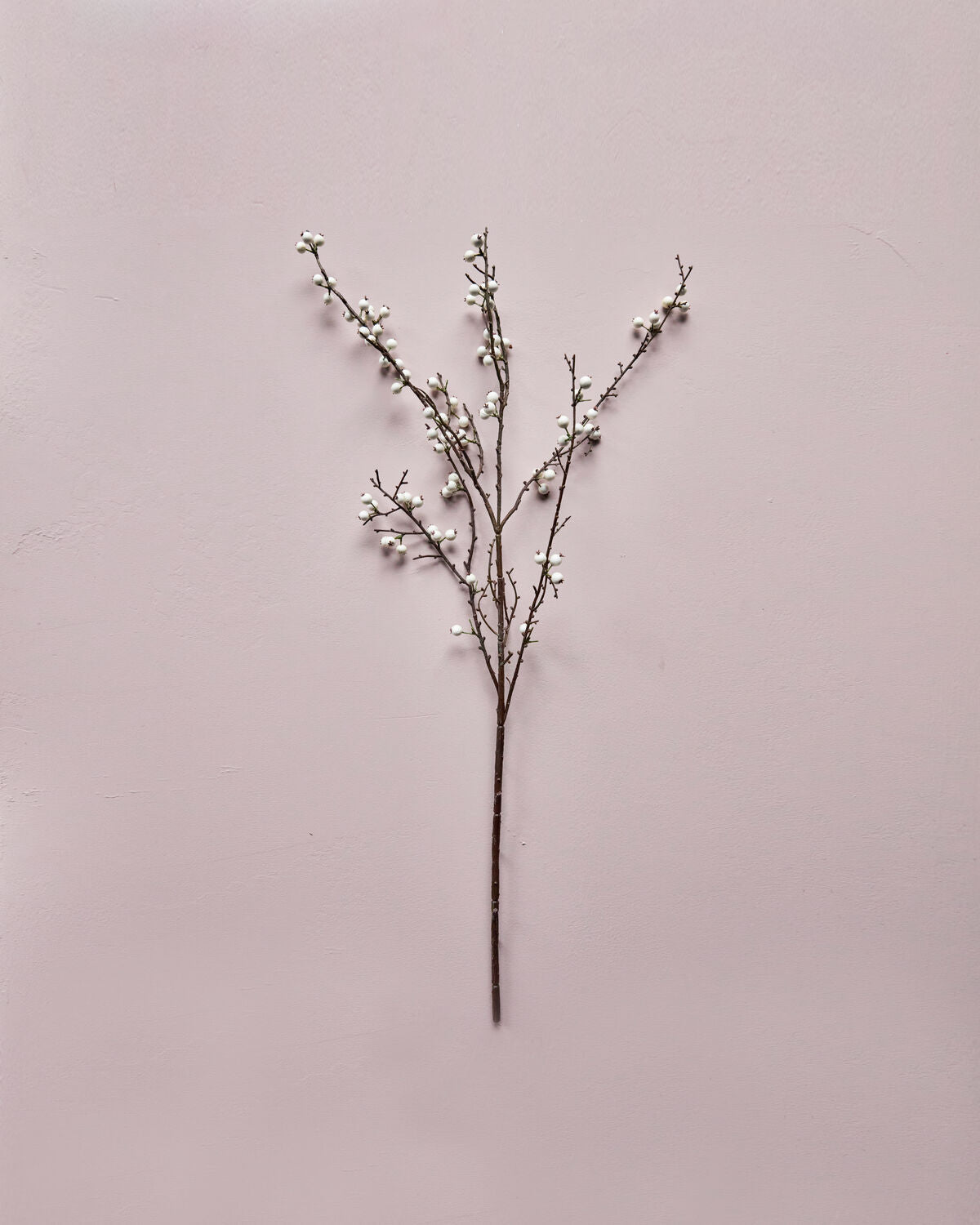 Artificial branch, HDDecor, Weiß in White präsentiert im Onlineshop von KAQTU Design AG. Kunstpflanze ist von House Doctor
