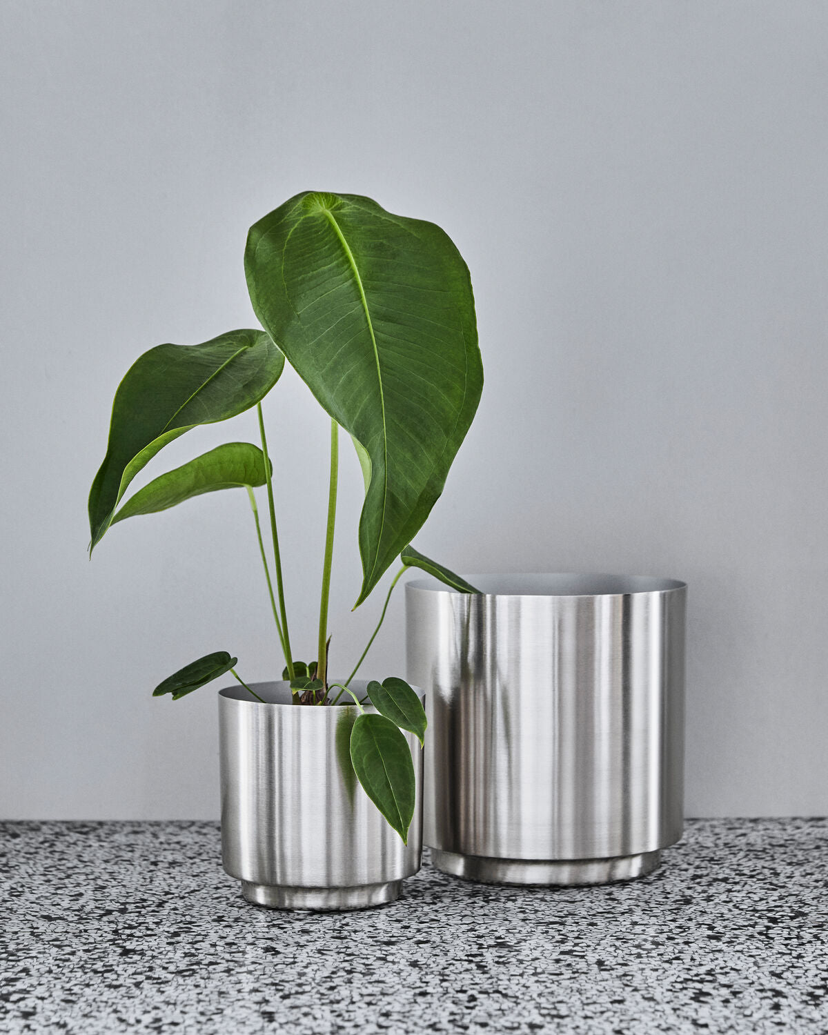 Blumentopf, HDBailey, Silber-Finish in Silver finish präsentiert im Onlineshop von KAQTU Design AG. Blumentopf ist von House Doctor