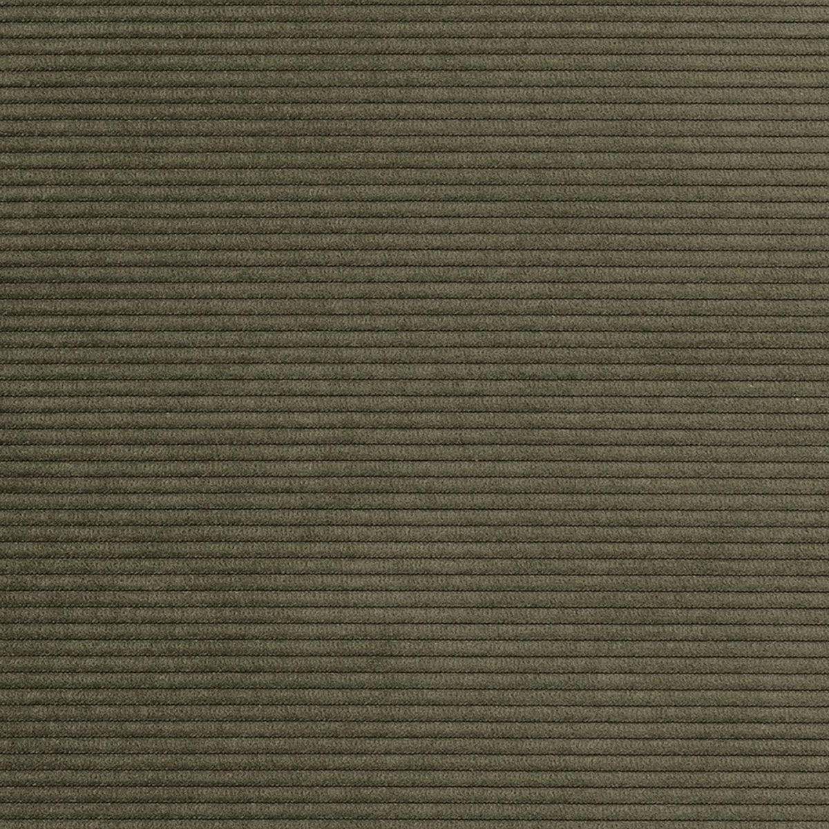 Rollo Styletto Klappsofa 80 mit Cover und Gestellbezug Classic in 316 Cordufine Pine Green präsentiert im Onlineshop von KAQTU Design AG. Bettsofa ist von Innovation Living