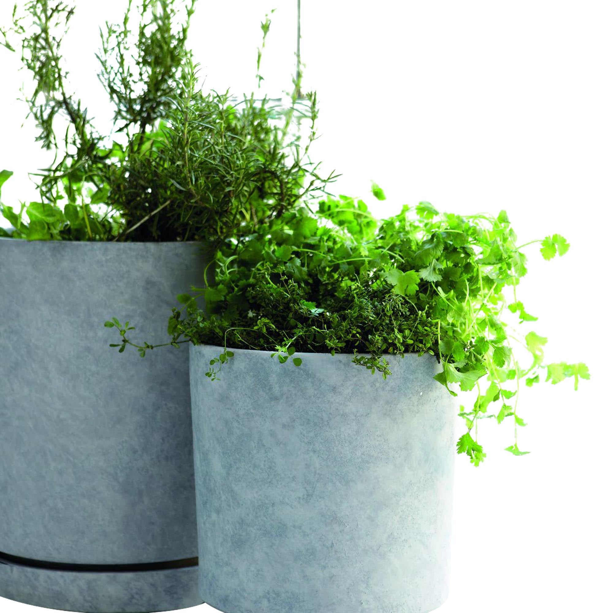 Blumentopf mit Untersetzer, Hook