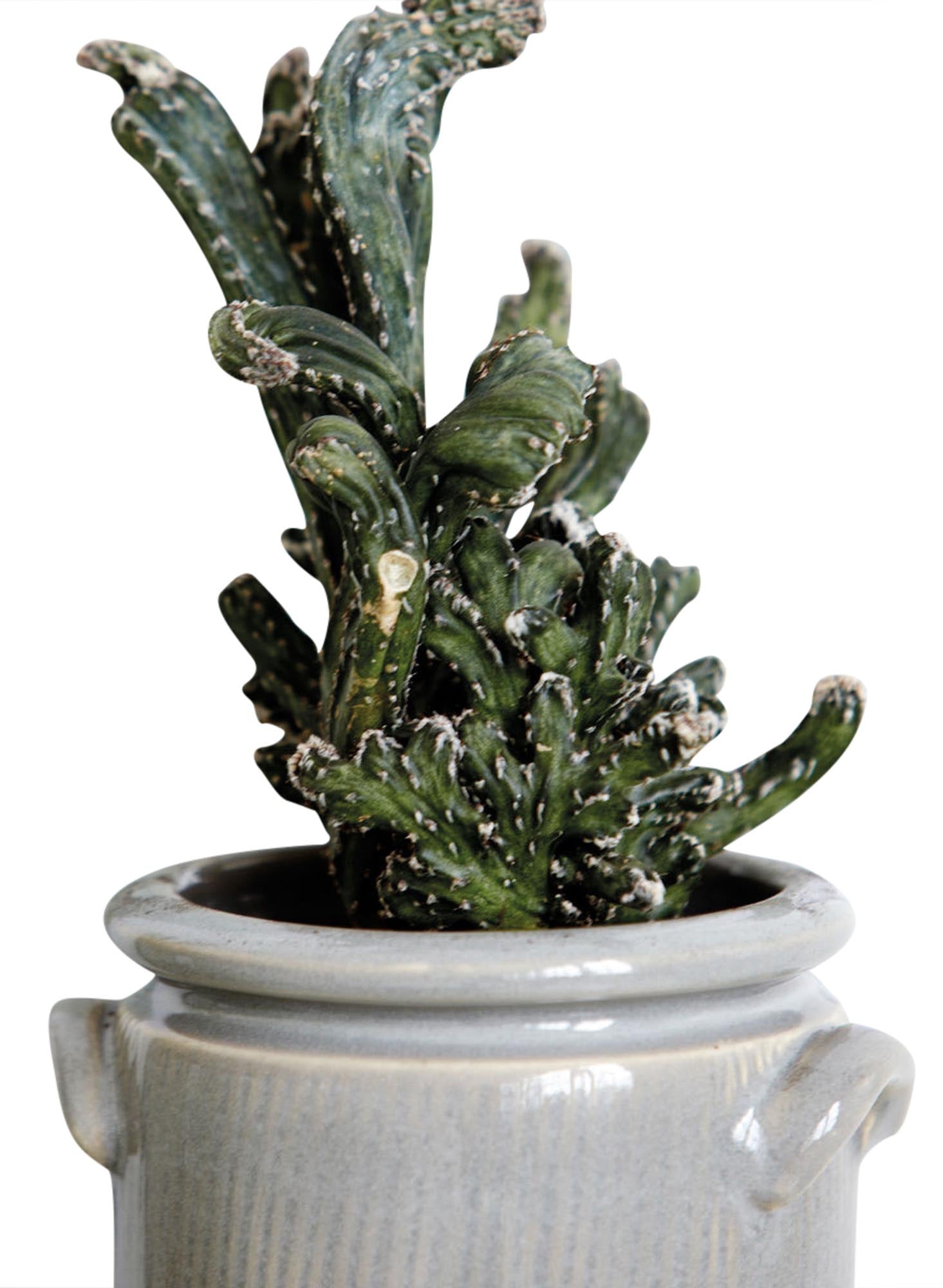 Blumenkasten, Pottery XL