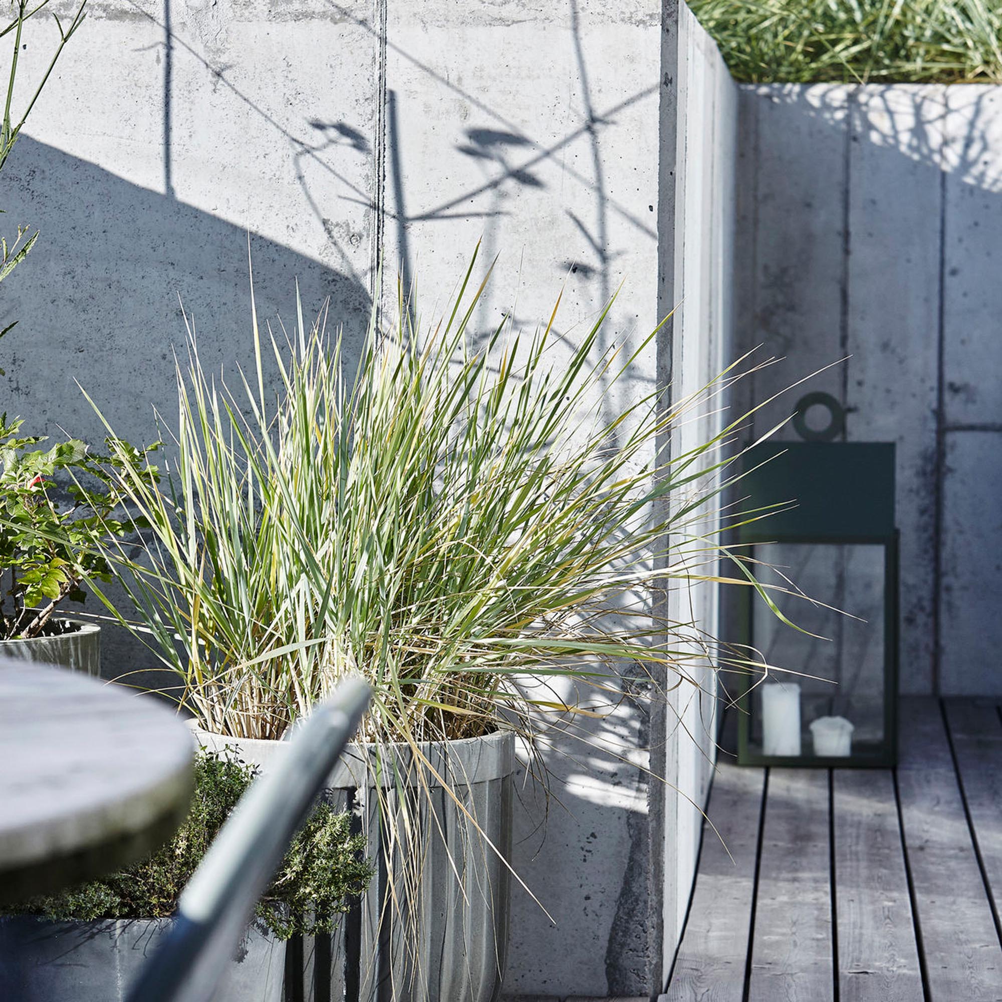 Blumenkasten, Concrete