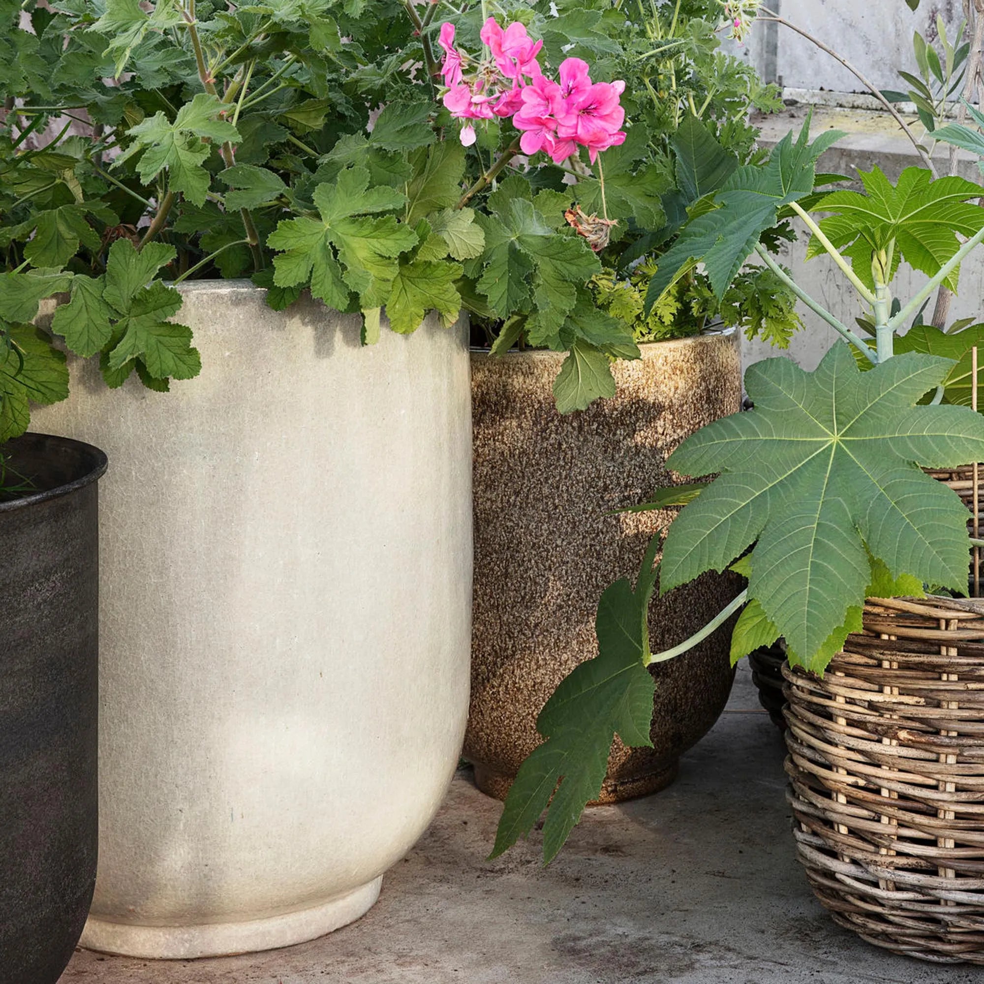 Eleganter Blumenkasten Pho: Verleiht Ihrem Raum frisches Flair.