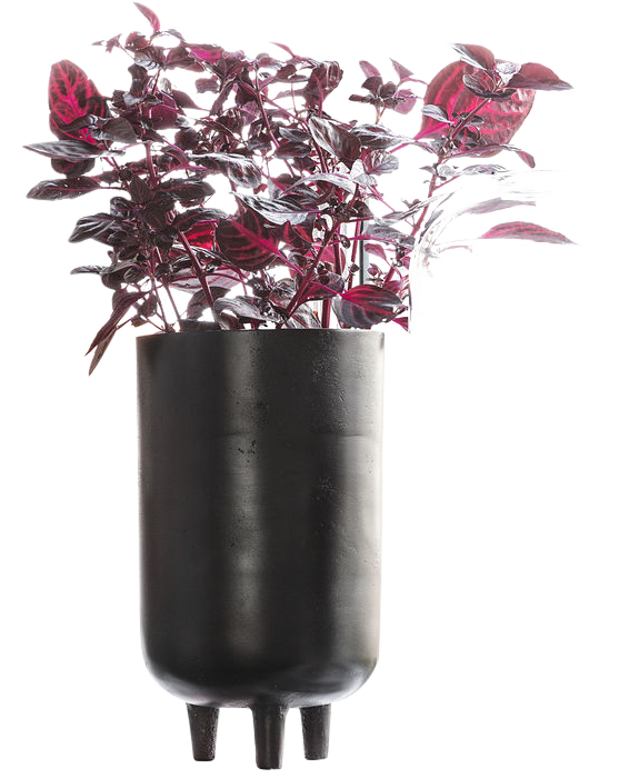 Blumenkasten, Jang in Schwarz oxidiert präsentiert im Onlineshop von KAQTU Design AG. Blumentopf ist von House Doctor