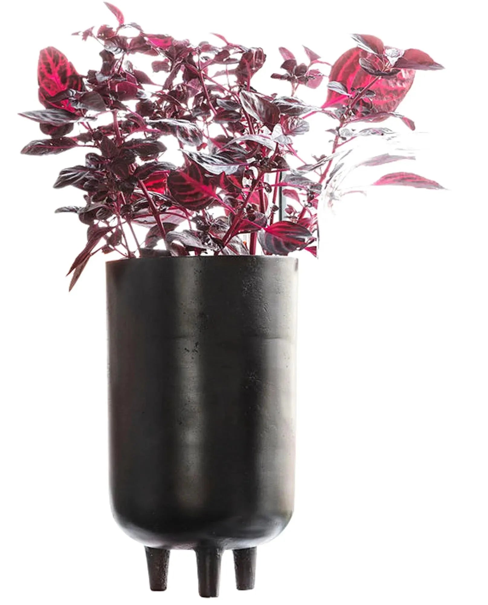 Stilvoller Blumenkasten "Jang" von House Doctor aus Aluminium, schwarz, 15x26 cm. Perfekt für Pflanzen und Blumen, zeitloses Design.