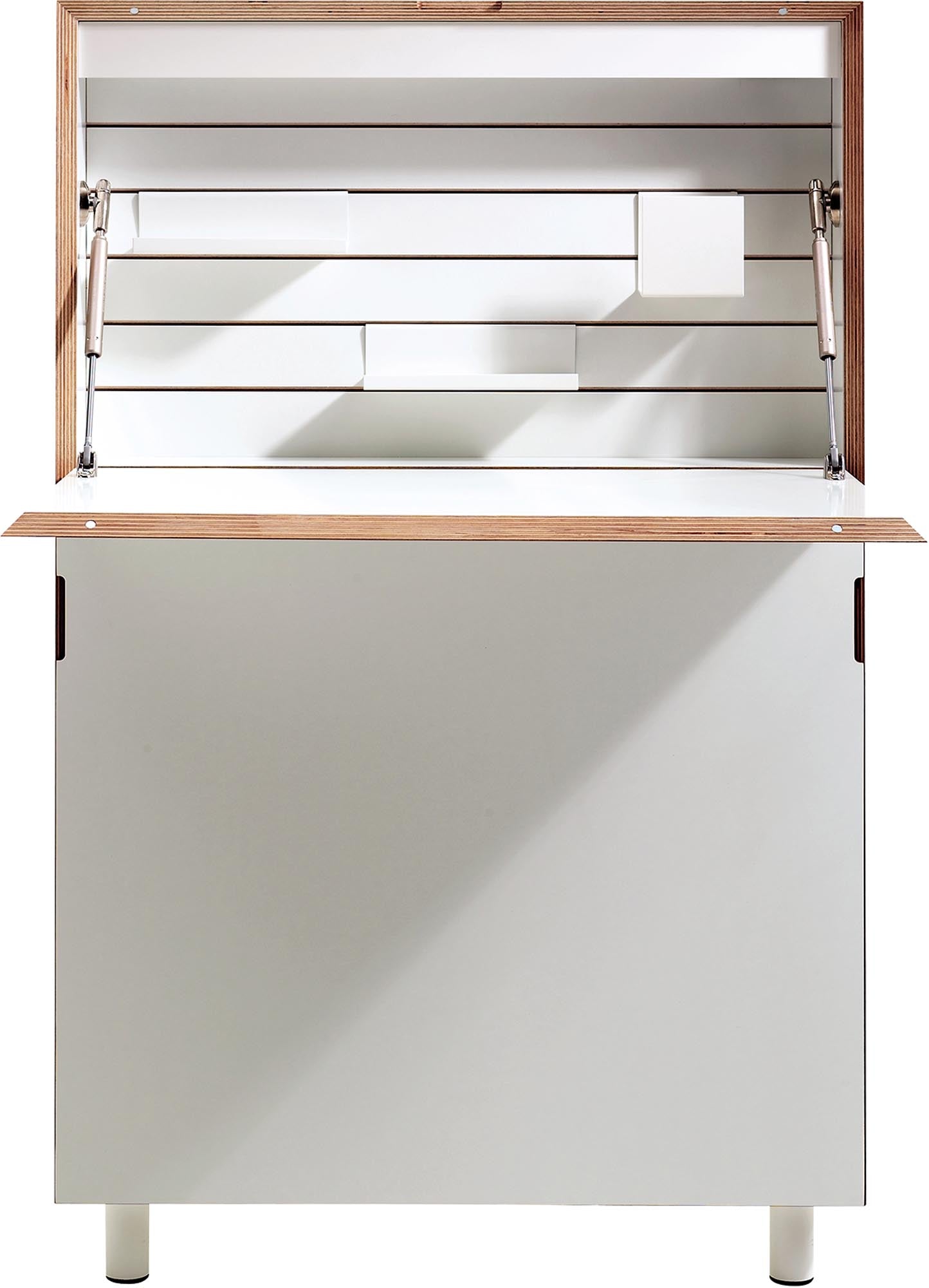 Flatmate Secretary (Tech Package 2 CH)