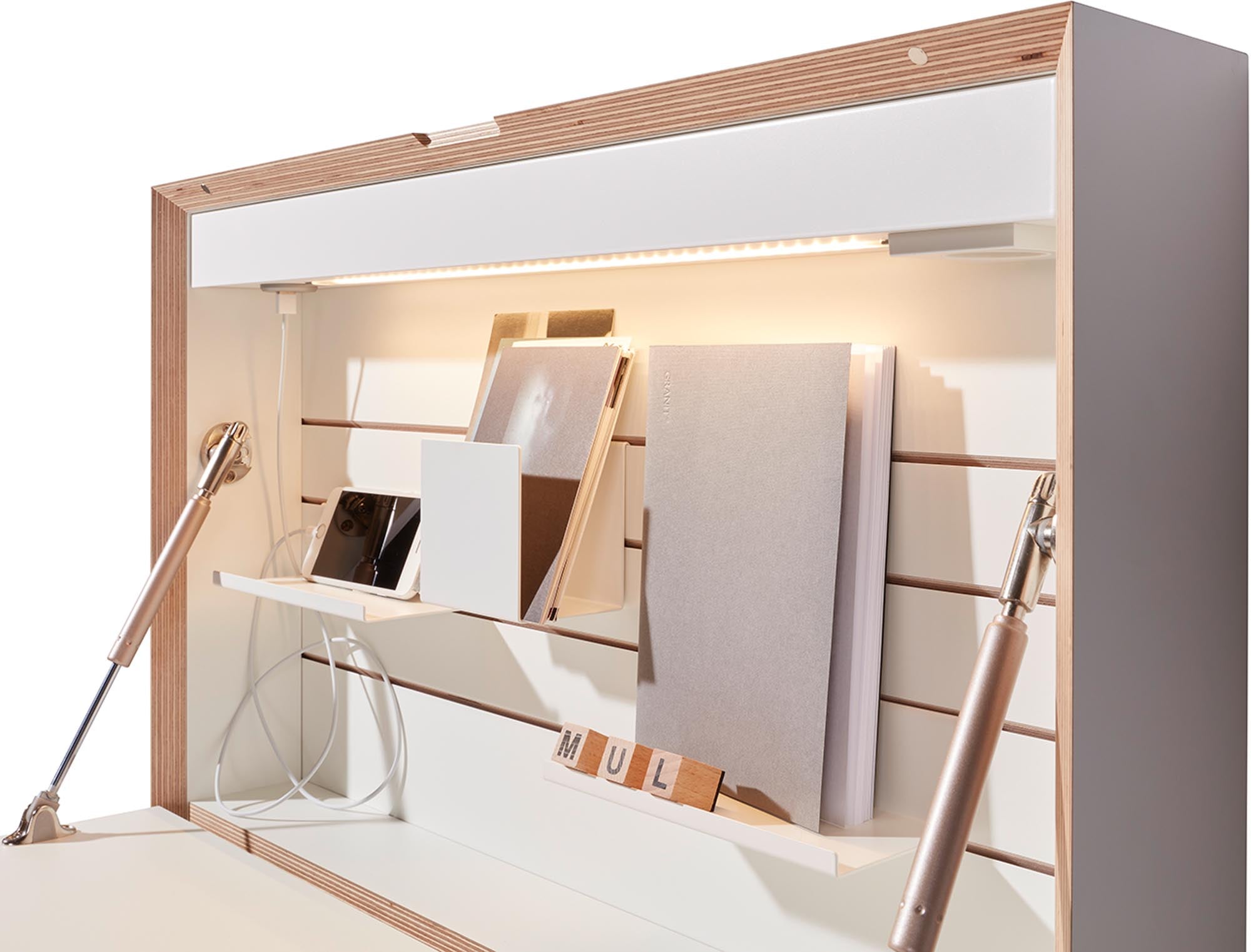 Flatmate Secretary (Tech Package 2 CH)