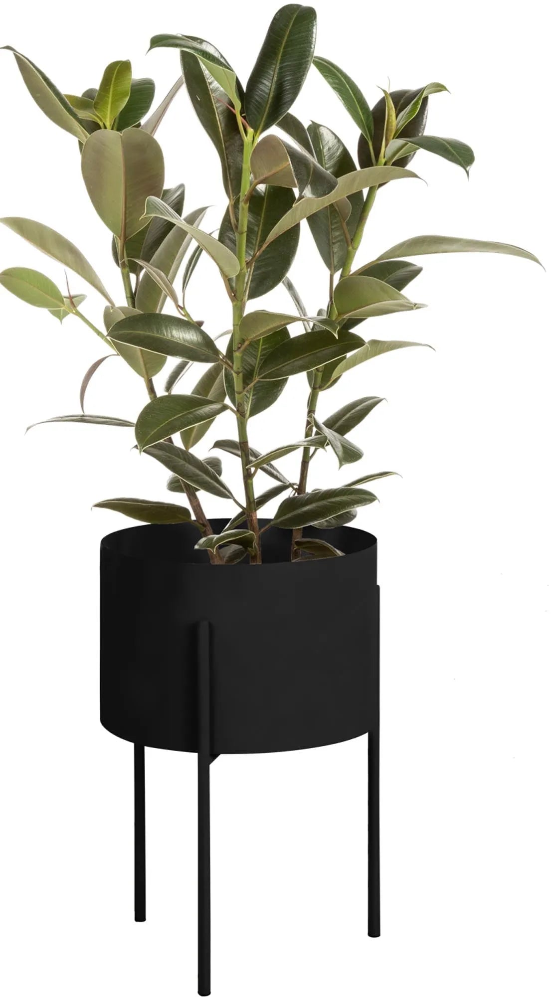 Maki Blumentopf in Vulcano Black präsentiert im Onlineshop von KAQTU Design AG. Blumentopf ist von Noo.ma