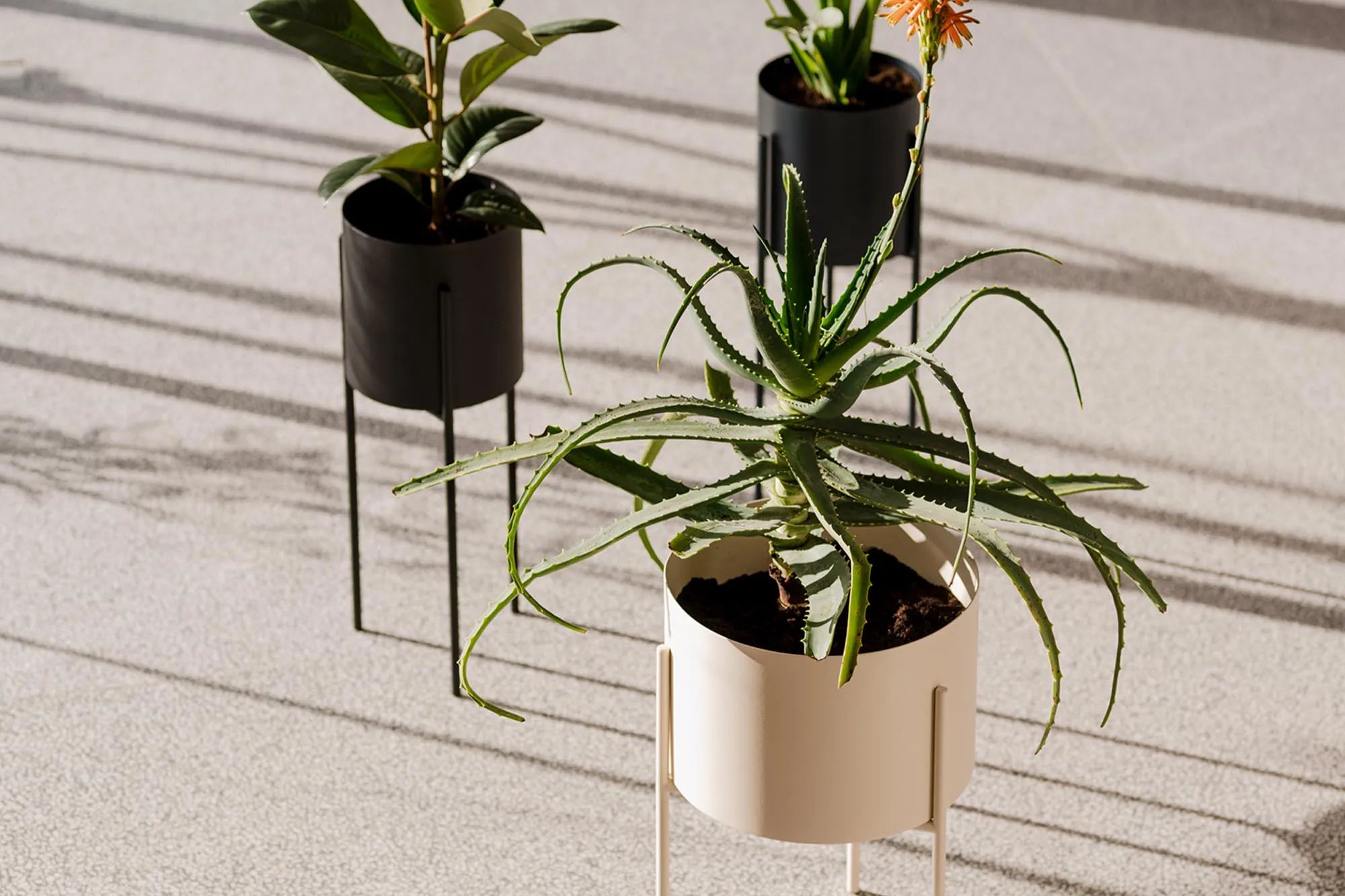 Maki Blumentopf in Vulcano Black präsentiert im Onlineshop von KAQTU Design AG. Blumentopf ist von Noo.ma