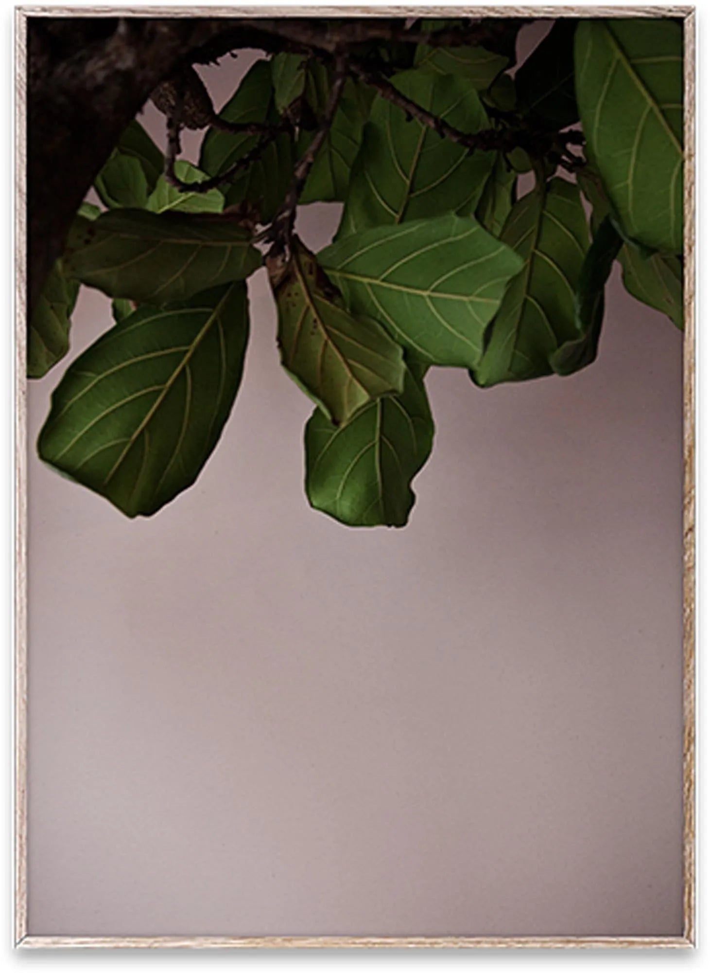 Green Leaves - KAQTU Design