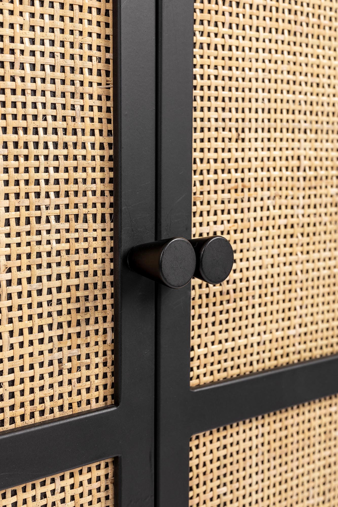 Cabinet Guuji Low 2türig