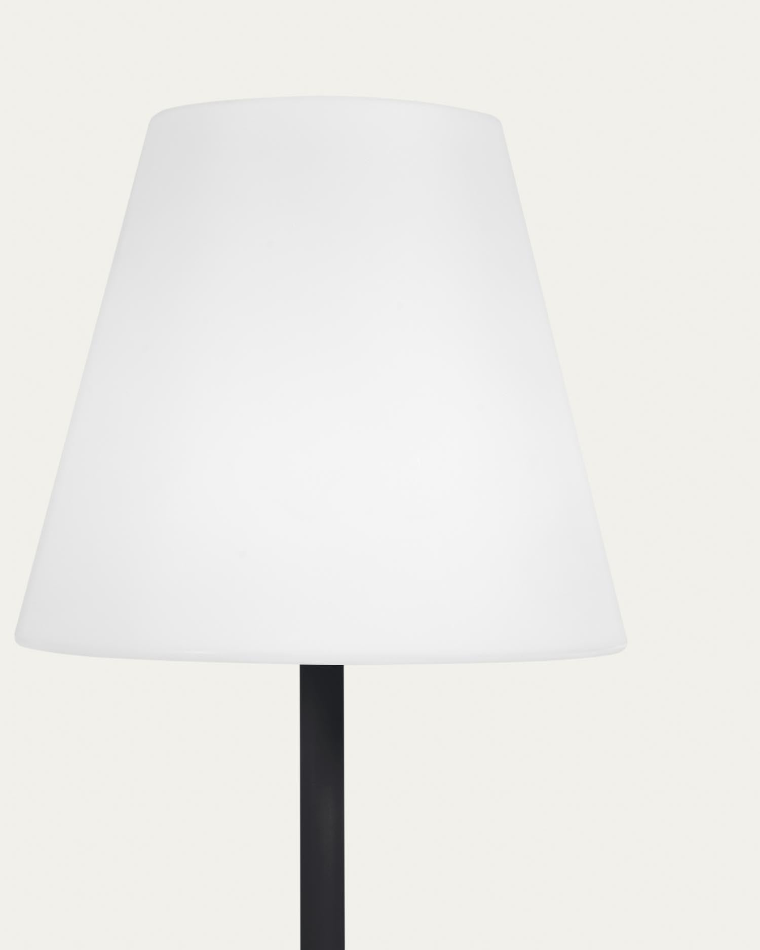 Stilvolle 120 cm hohe Outdoor Solar-Stehlampe Amaray in elegantem Schwarz. Umweltfreundlich, robust und ideal für jeden Außenbereich.