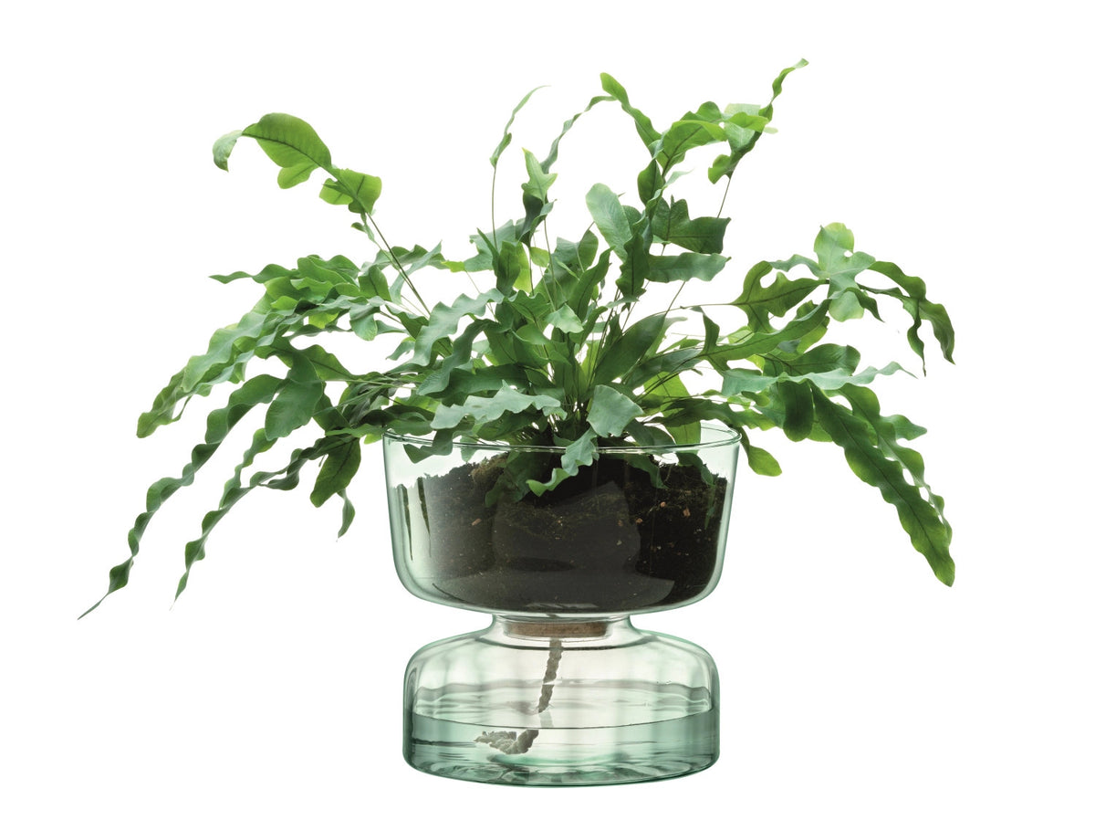 Canopy selbstbewässernder Topf H22cm - recy. Optik in Transparent präsentiert im Onlineshop von KAQTU Design AG. Vase ist von LSA