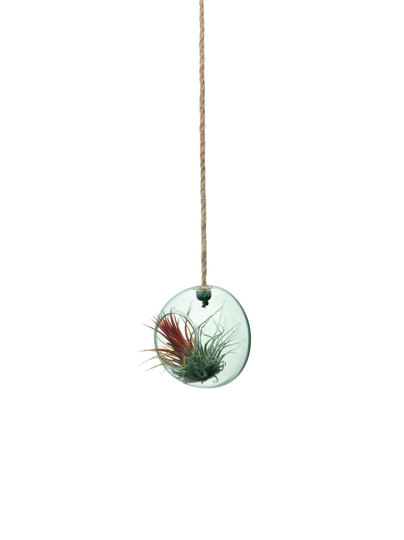 Schöner Hängetopf aus recyceltem Glas (D10cm) von LSA, perfekt für moderne Pflanzenpräsentationen und ansprechende Wohnakzente.