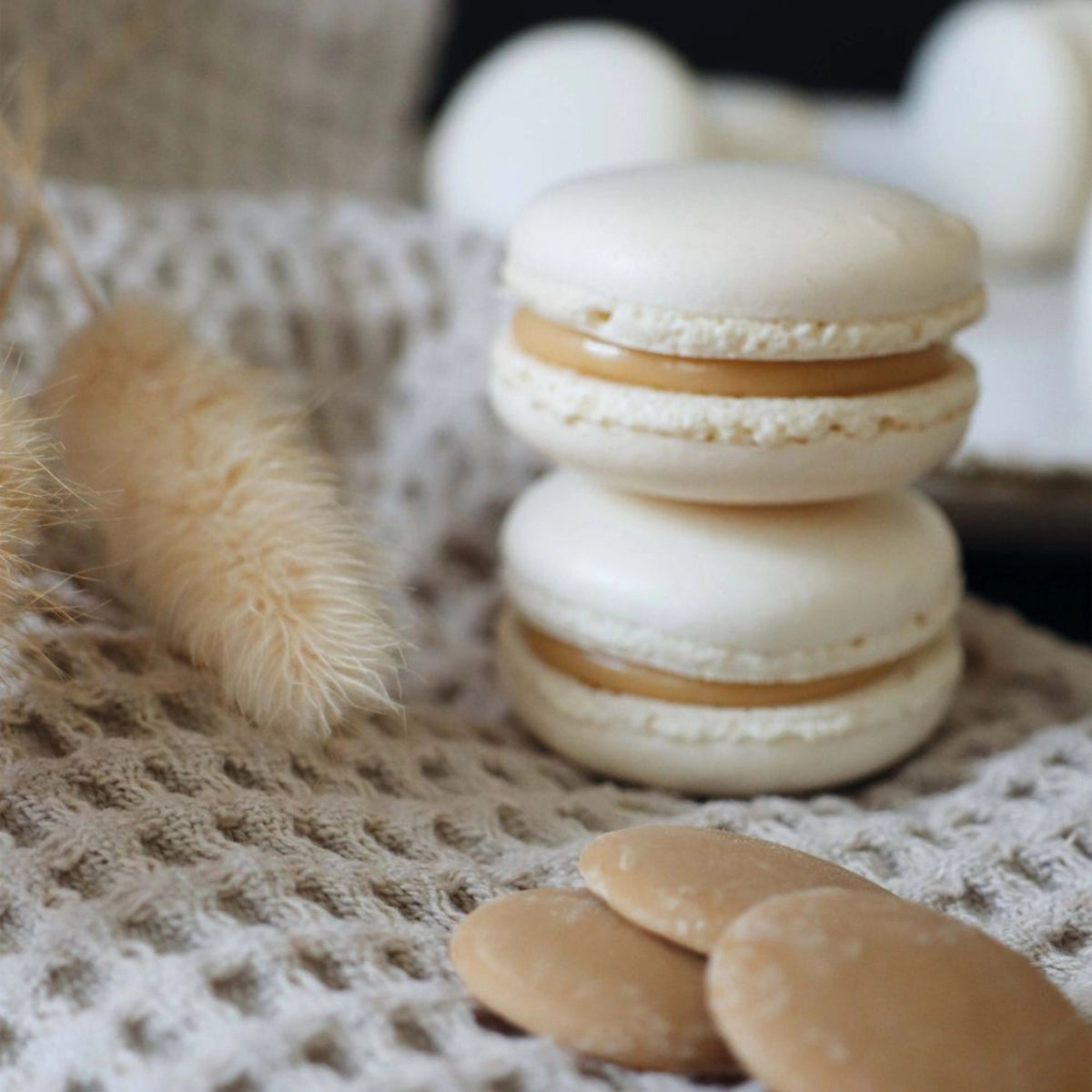 Caramel Schoko Drops 190g in Braun präsentiert im Onlineshop von KAQTU Design AG. Zutaten ist von Scrap Cooking