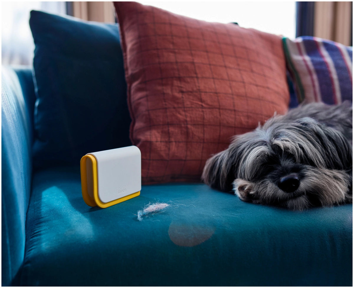 CleanTech 3-in-1 Tierhaare Reinigungsgadget hellgrau in Grau präsentiert im Onlineshop von KAQTU Design AG. Reinigung & Wäsche ist von Joseph Joseph