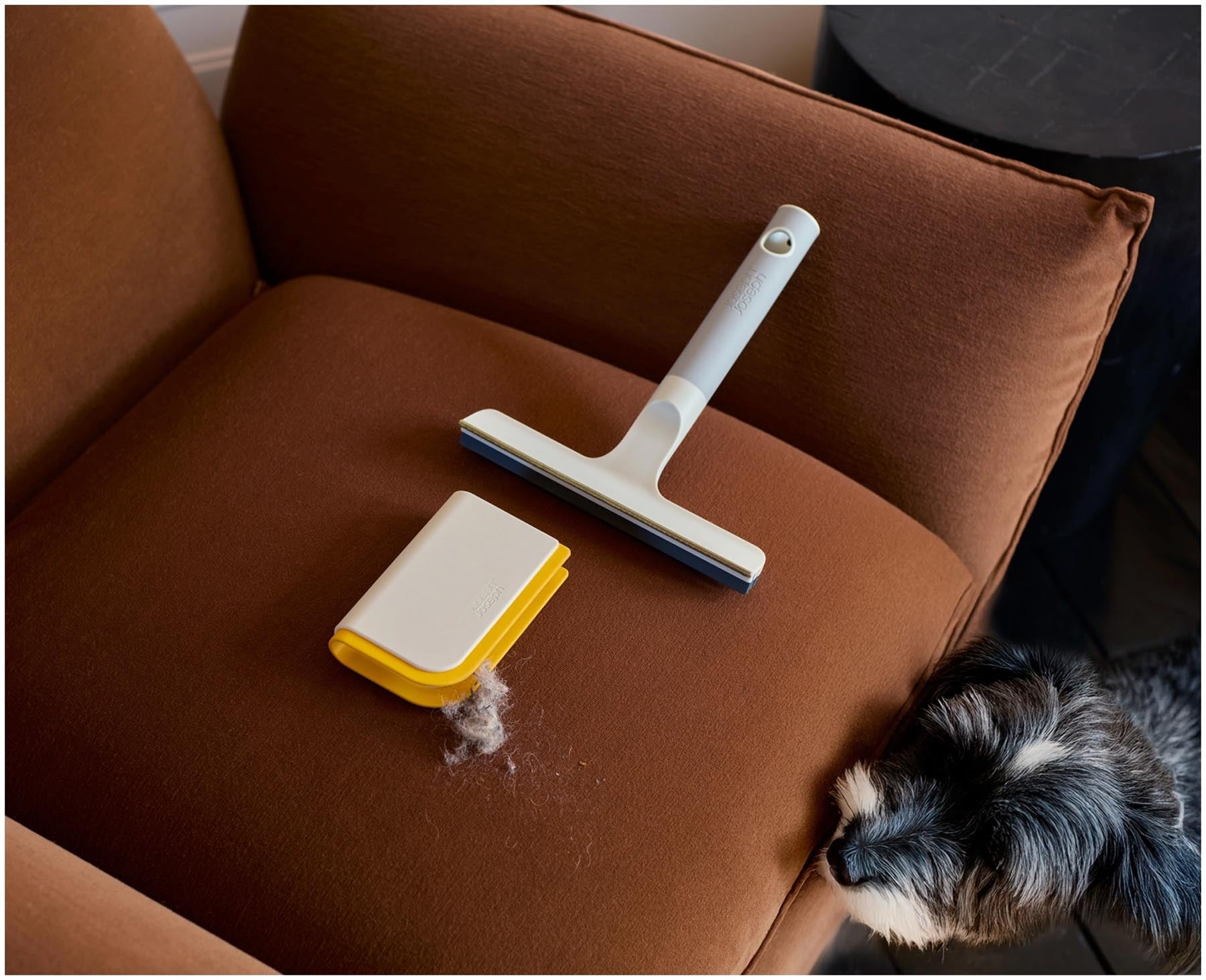 Effizientes hellgraues 3-in-1 Gadget von Joseph Joseph zur einfachen Entfernung von Tierhaaren von Möbeln, Kleidung und mehr.