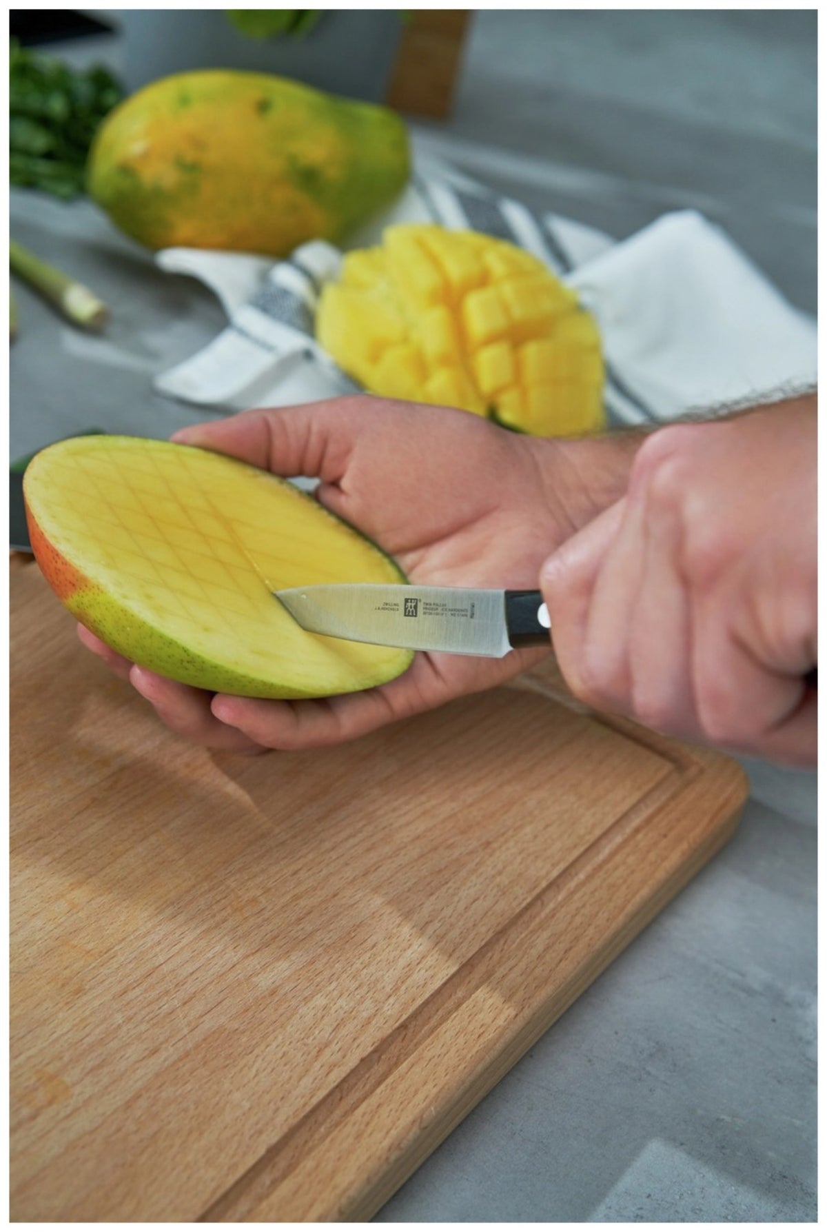 Zwilling Signature Schälmesser mit 10 cm Klinge aus Edelstahl, Griff im Drei-Nieten-Design, mehrfarbige Ausführung, freigestellt fotografiert.